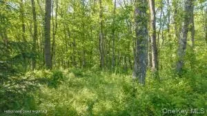 884 Camby Road, Union Vale, NY, 2 Bedrooms Bedrooms, 4 Rooms Rooms,1 BathroomBathrooms,Residential,For Rent,Camby,0,1006396 884 Camby Road, Union Vale, NY, 2 Bedrooms Bedrooms, 4 Rooms Rooms,1 BathroomBathrooms,Residential,For Rent,Camby,0,1006396