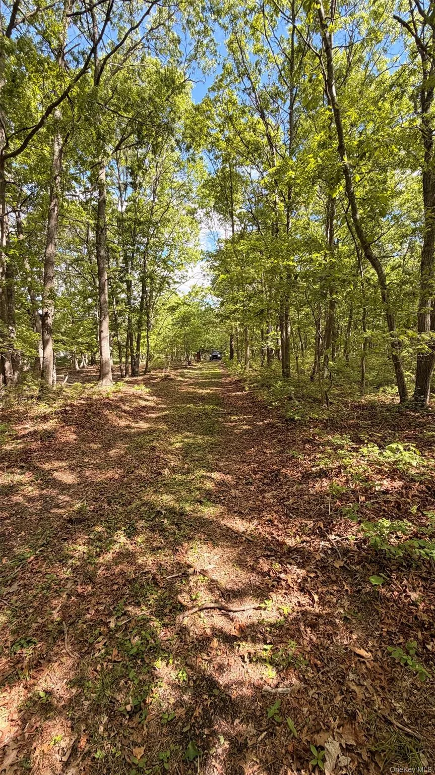 proposed driveway location proposed driveway location