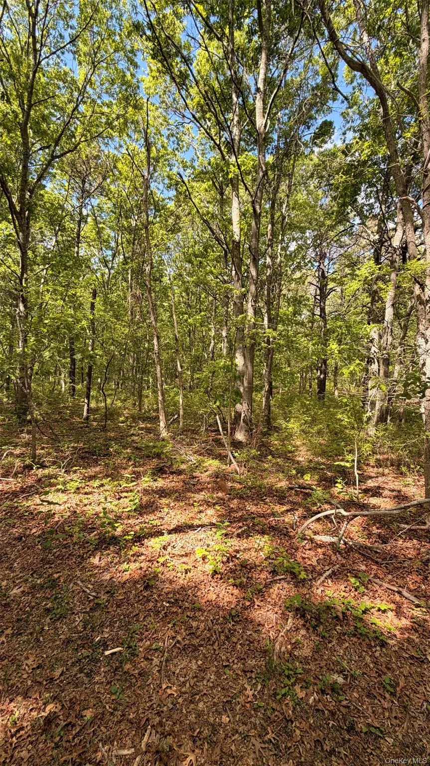 lot location lot location