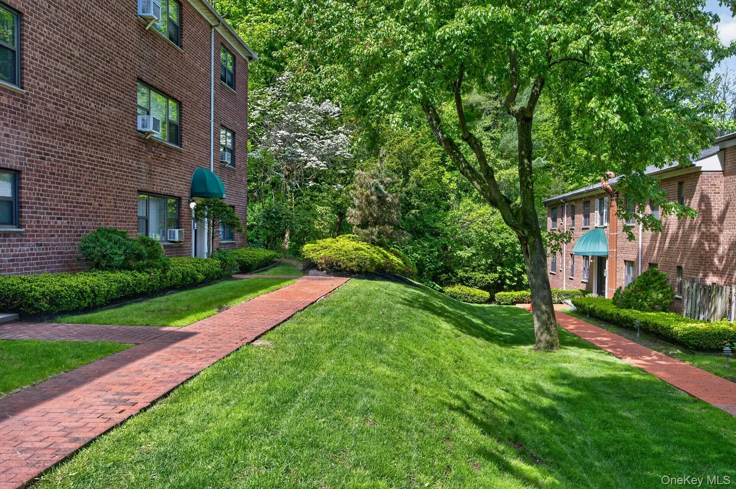 319 Main Street, North Hempstead, NY, 2 Rooms Rooms,1 BathroomBathrooms,Residential Lease,For Rent,Main,0,1006414 319 Main Street, North Hempstead, NY, 2 Rooms Rooms,1 BathroomBathrooms,Residential Lease,For Rent,Main,0,1006414