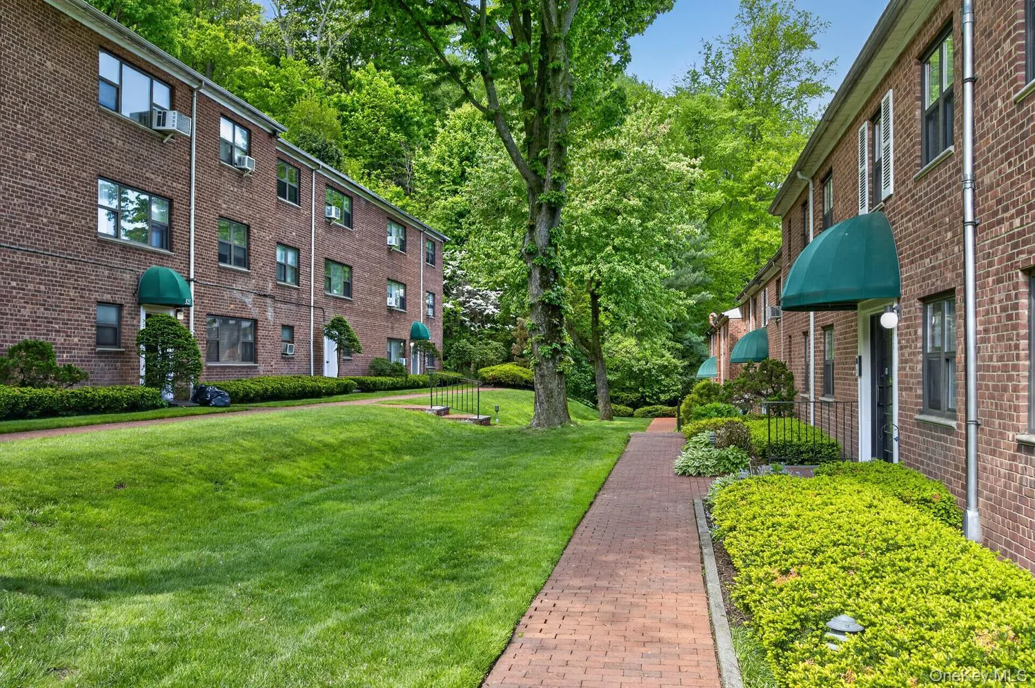 319 Main Street, North Hempstead, NY, 2 Rooms Rooms,1 BathroomBathrooms,Residential Lease,For Rent,Main,0,1006414 319 Main Street, North Hempstead, NY, 2 Rooms Rooms,1 BathroomBathrooms,Residential Lease,For Rent,Main,0,1006414