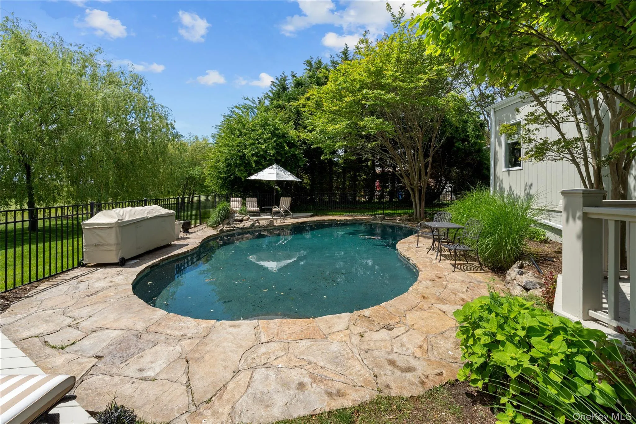 11 Hickory Road, Hempstead, NY, 5 Bedrooms Bedrooms, 9 Rooms Rooms,3 BathroomsBathrooms,Residential,For Rent,Hickory,0,1006426 11 Hickory Road, Hempstead, NY, 5 Bedrooms Bedrooms, 9 Rooms Rooms,3 BathroomsBathrooms,Residential,For Rent,Hickory,0,1006426