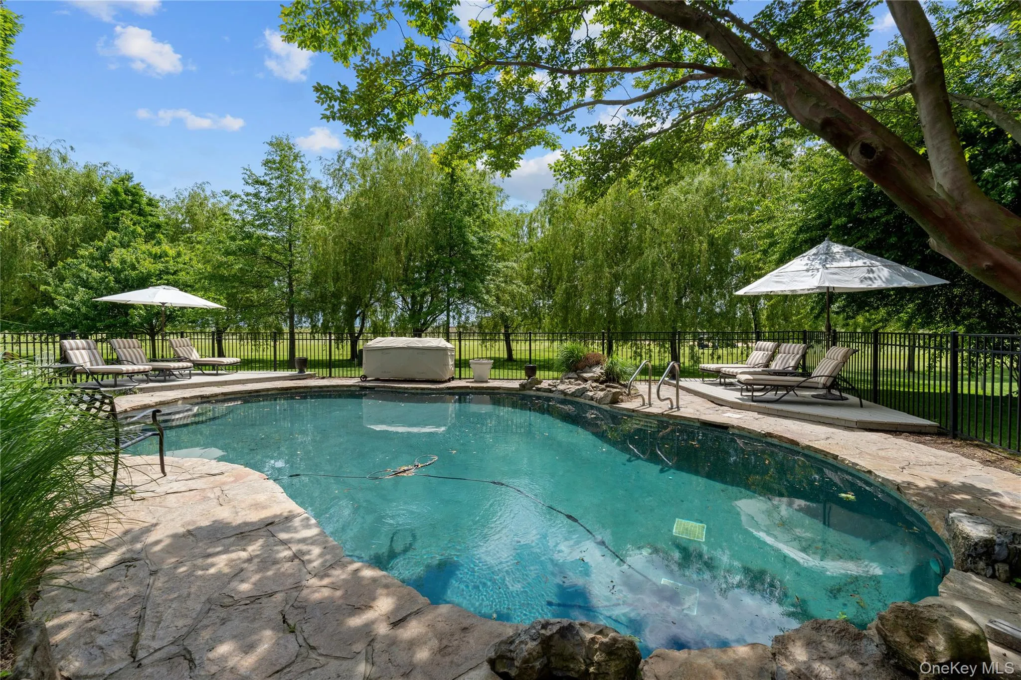 11 Hickory Road, Hempstead, NY, 5 Bedrooms Bedrooms, 9 Rooms Rooms,3 BathroomsBathrooms,Residential,For Rent,Hickory,0,1006426 11 Hickory Road, Hempstead, NY, 5 Bedrooms Bedrooms, 9 Rooms Rooms,3 BathroomsBathrooms,Residential,For Rent,Hickory,0,1006426