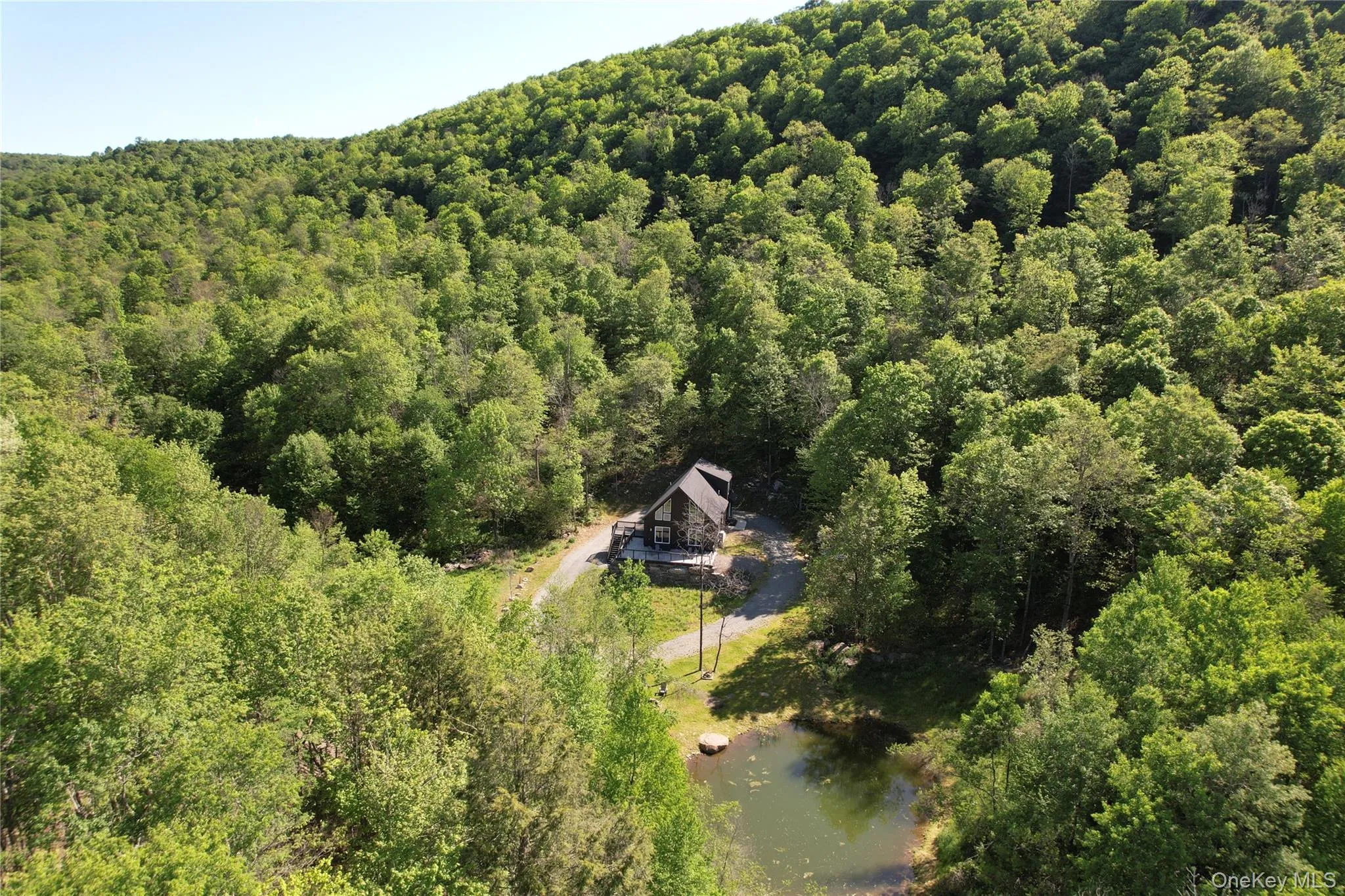 1227 Gulf Road, Callicoon, NY, 3 Bedrooms Bedrooms, 7 Rooms Rooms,3 BathroomsBathrooms,Residential,For Rent,Gulf,0,1006441 1227 Gulf Road, Callicoon, NY, 3 Bedrooms Bedrooms, 7 Rooms Rooms,3 BathroomsBathrooms,Residential,For Rent,Gulf,0,1006441