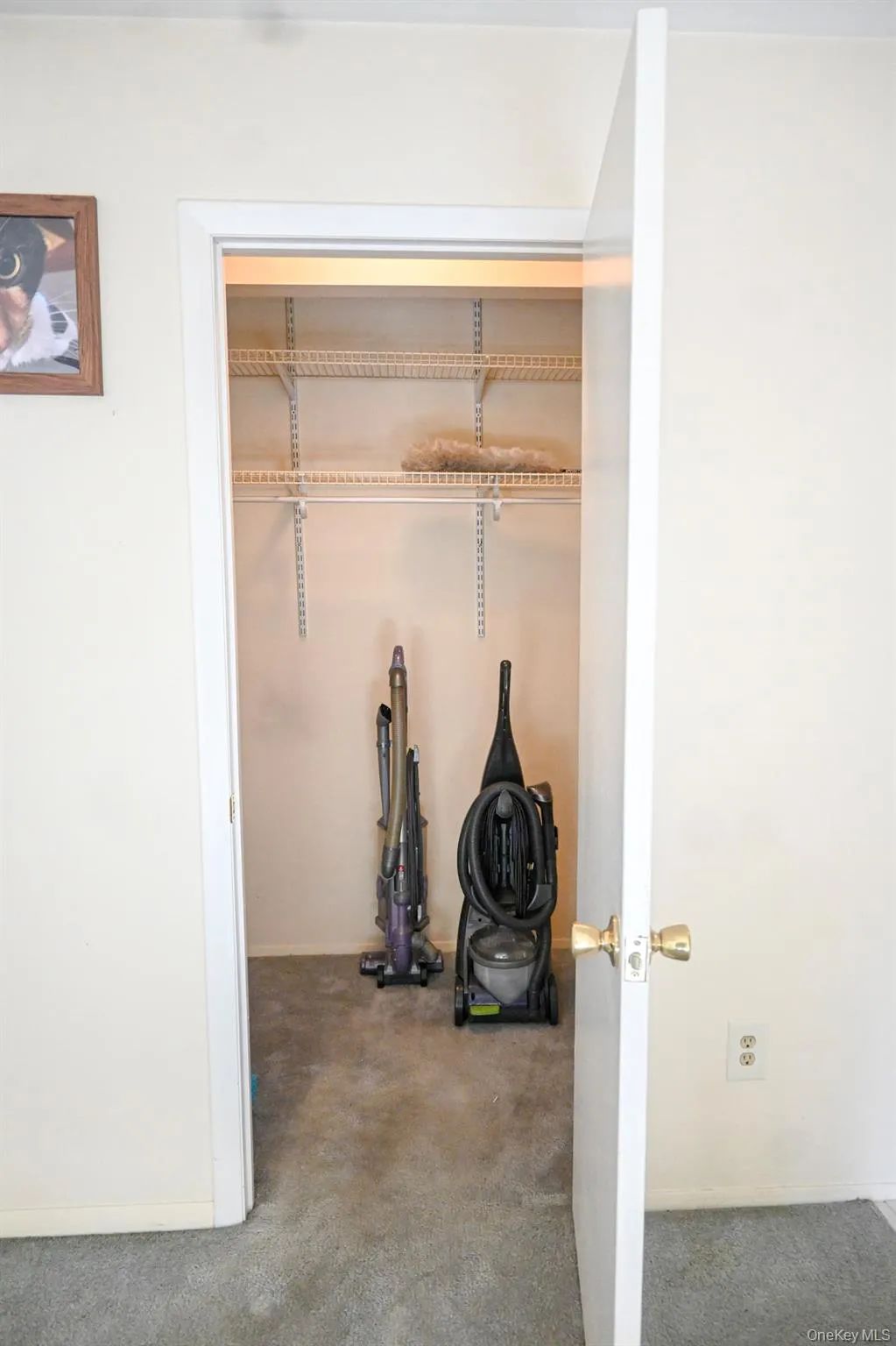 83 Sycamore Drive, Middletown, NY, 1 Bedroom Bedrooms, 3 Rooms Rooms,1 BathroomBathrooms,Residential,For Rent,Sycamore,0,1006458 83 Sycamore Drive, Middletown, NY, 1 Bedroom Bedrooms, 3 Rooms Rooms,1 BathroomBathrooms,Residential,For Rent,Sycamore,0,1006458
