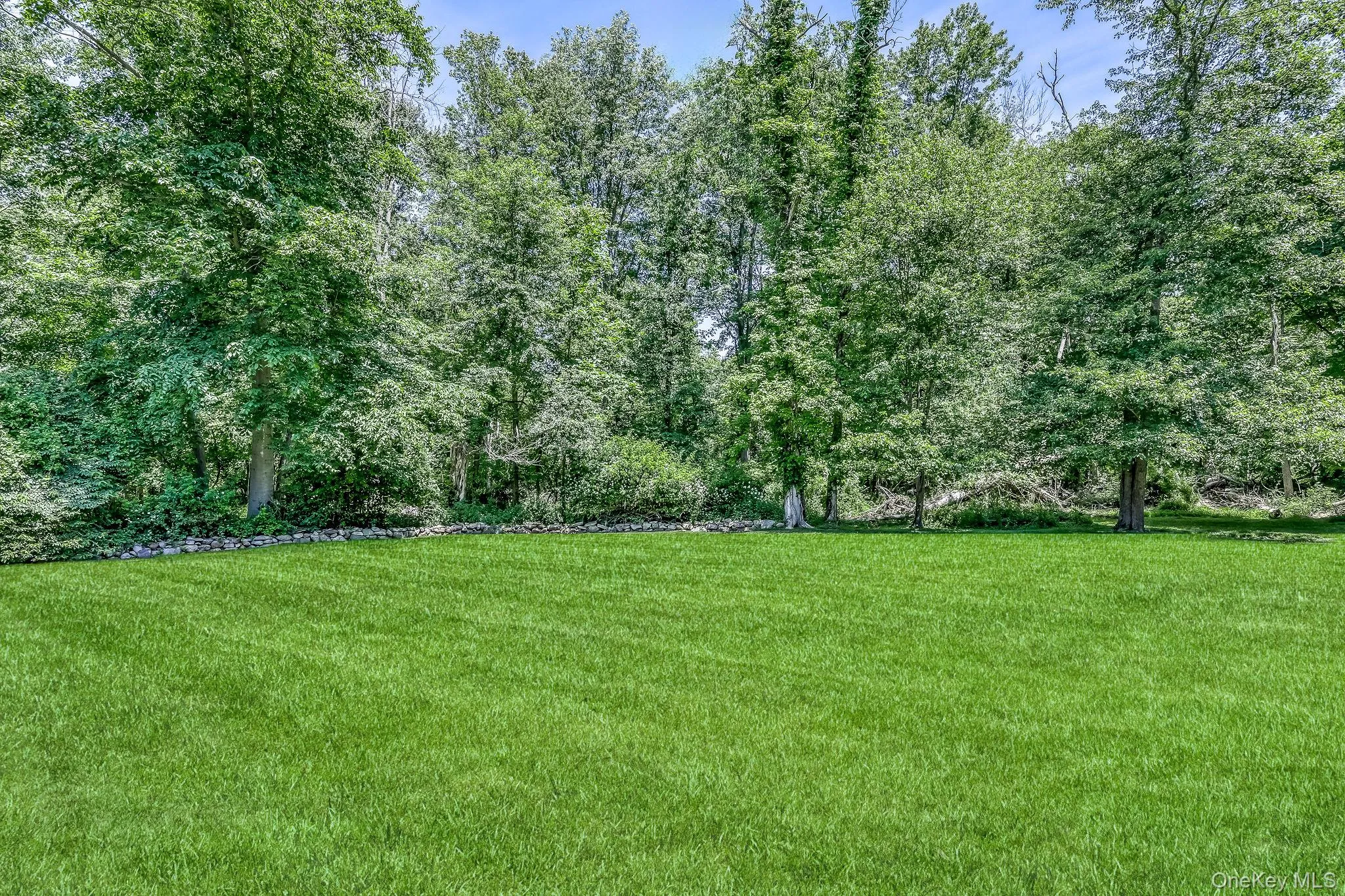 15 Caroll Drive, Ramapo, NY, 3 Bedrooms Bedrooms, 10 Rooms Rooms,2 BathroomsBathrooms,Residential,For Rent,Caroll,0,1006511 15 Caroll Drive, Ramapo, NY, 3 Bedrooms Bedrooms, 10 Rooms Rooms,2 BathroomsBathrooms,Residential,For Rent,Caroll,0,1006511