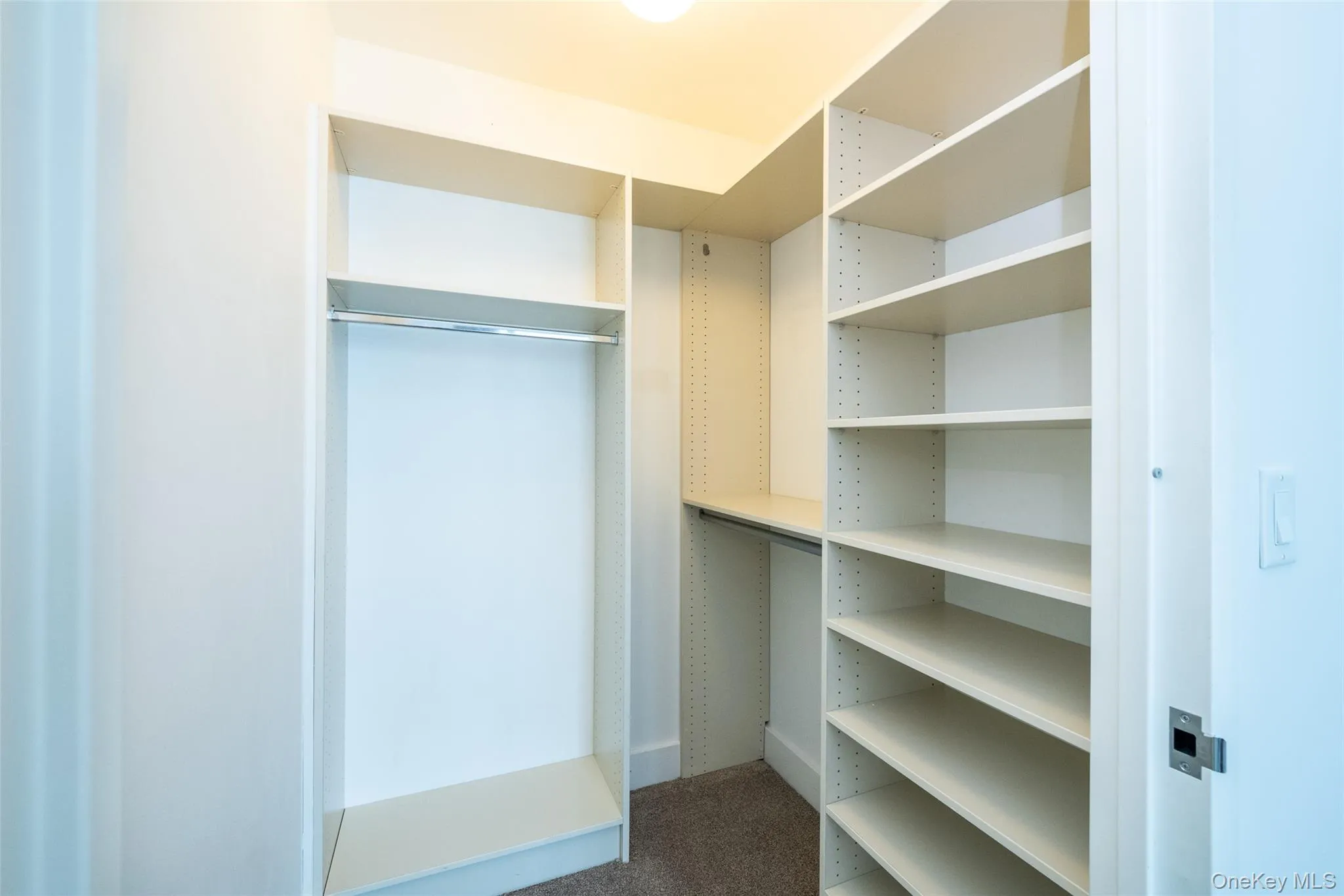 Spacious closet with carpet floors Spacious closet with carpet floors