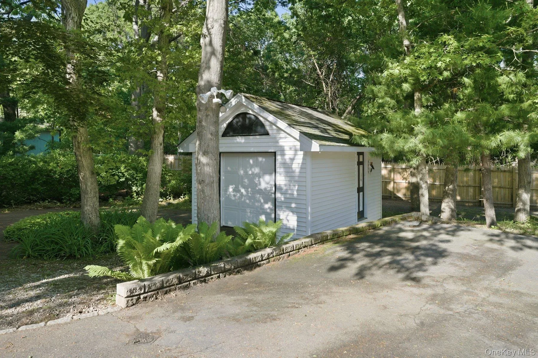 Shed Shed