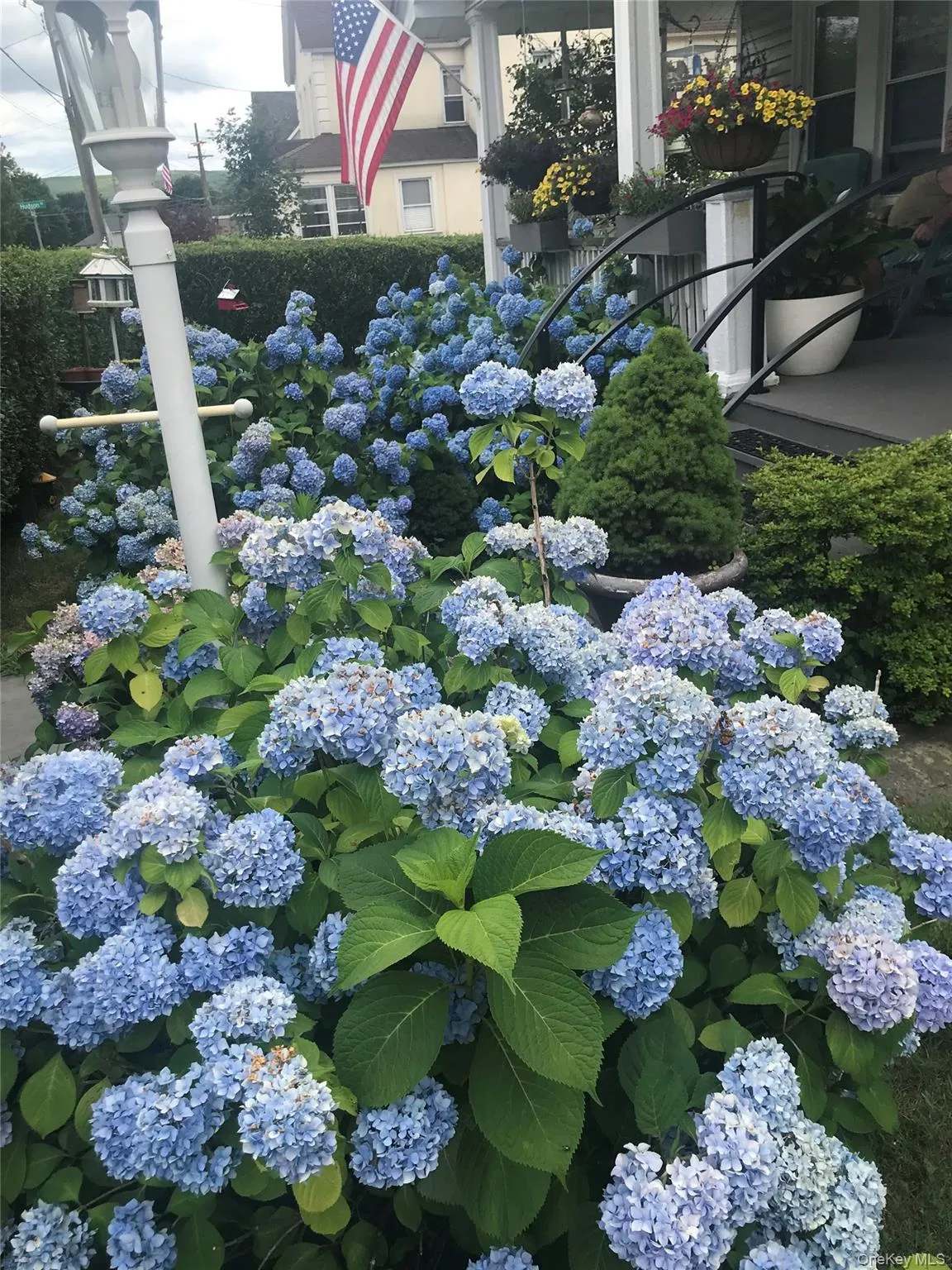 Beautifully maintained garden area with established shrubs and flowering plants. Beautifully maintained garden area with established shrubs and flowering plants.