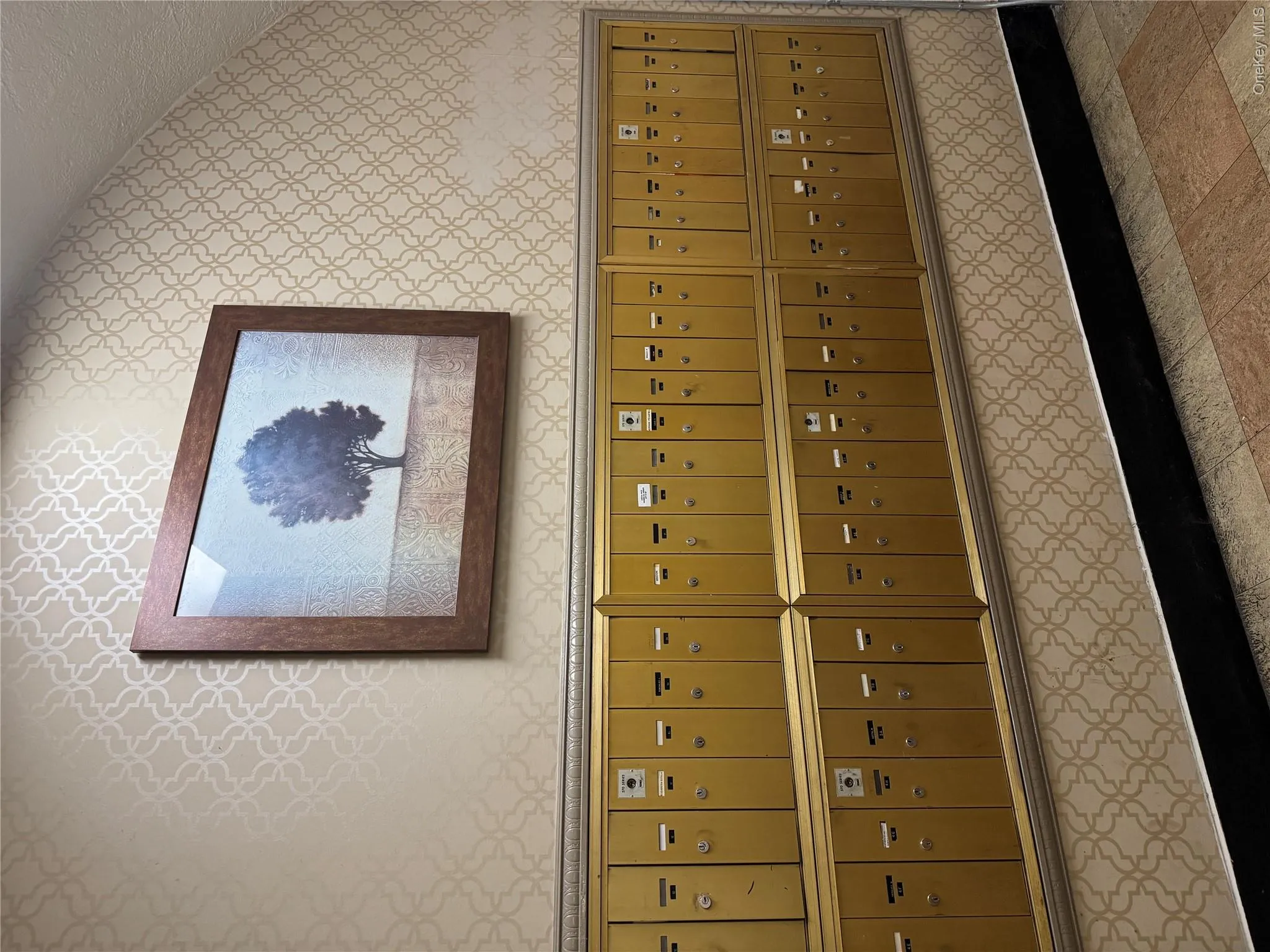 37-21 80th Street, New York, NY, 1 Bedroom Bedrooms, 3 Rooms Rooms,1 BathroomBathrooms,Residential,For Rent,80th,0,1006539 37-21 80th Street, New York, NY, 1 Bedroom Bedrooms, 3 Rooms Rooms,1 BathroomBathrooms,Residential,For Rent,80th,0,1006539