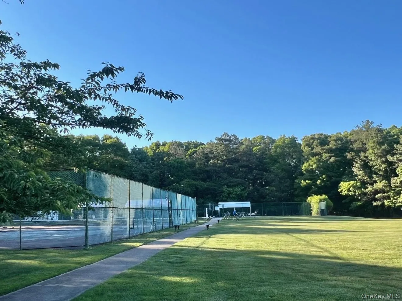 Expansive Lawn and Grounds Views Expansive Lawn and Grounds Views