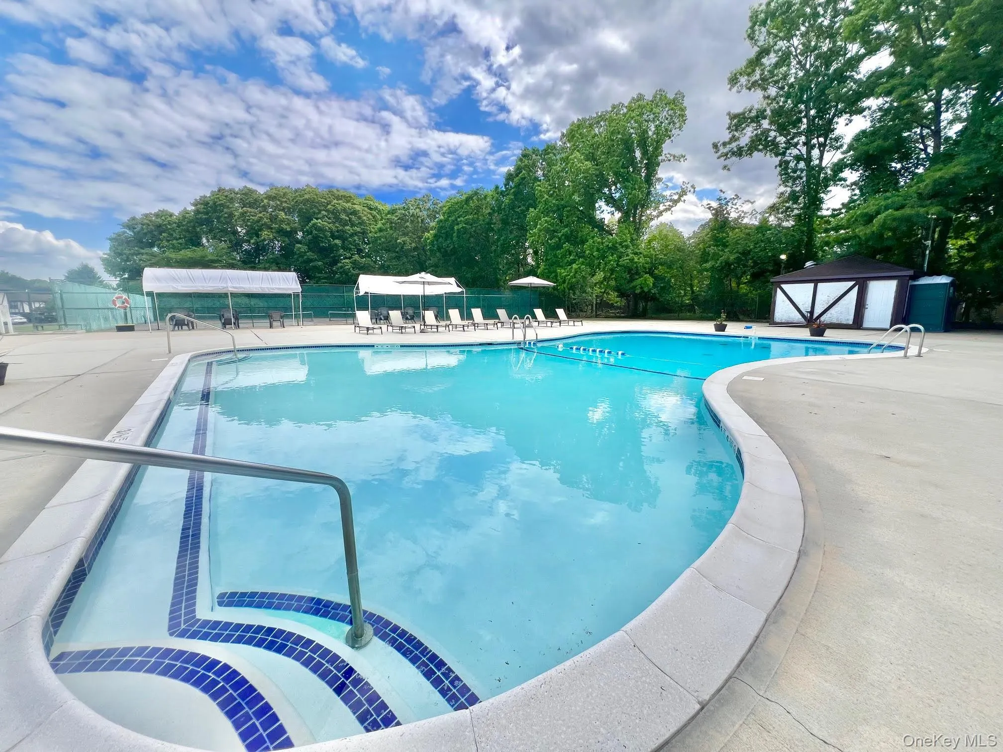 Inviting Inground Pool w/handrail and Blue Tiled Steps Inviting Inground Pool w/handrail and Blue Tiled Steps