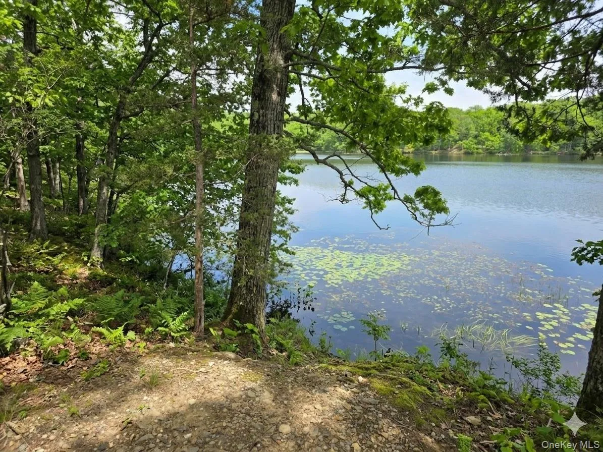 71 Lake Shore Road, Pine Plains, NY, ,Land,For Rent,Lake Shore,0,1006565 71 Lake Shore Road, Pine Plains, NY, ,Land,For Rent,Lake Shore,0,1006565