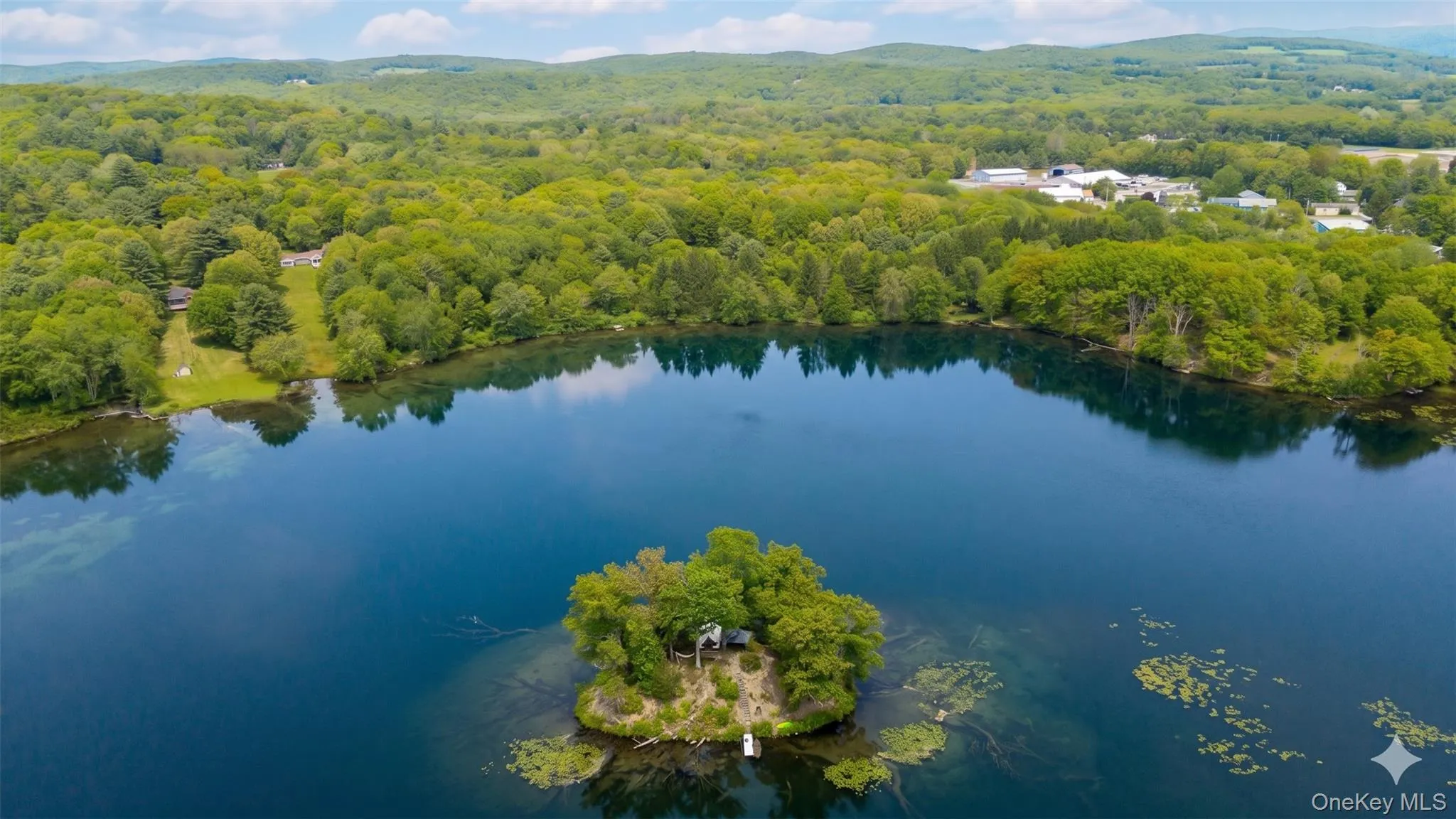 71 Lake Shore Road, Pine Plains, NY, ,Land,For Rent,Lake Shore,0,1006565 71 Lake Shore Road, Pine Plains, NY, ,Land,For Rent,Lake Shore,0,1006565