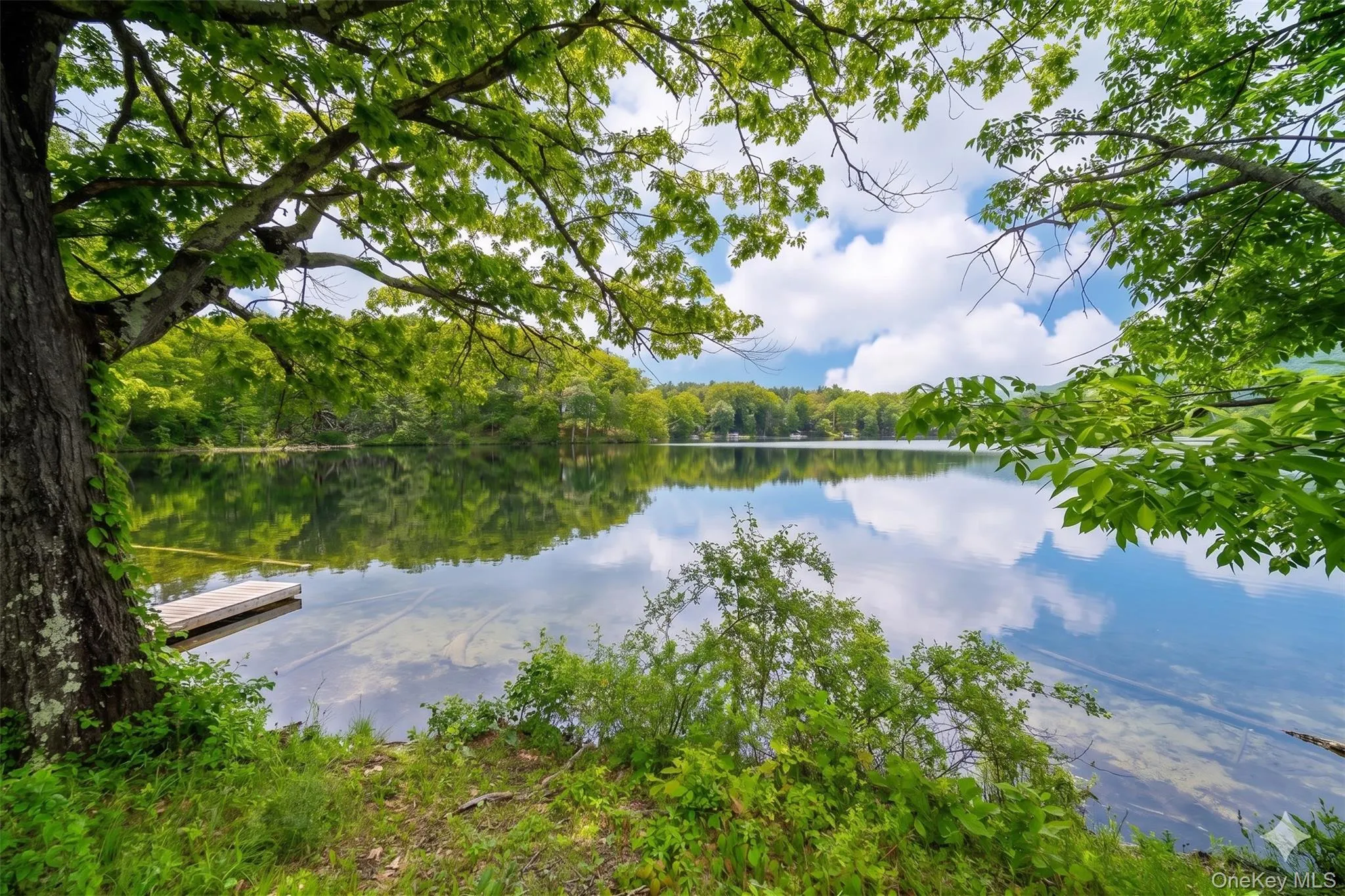 71 Lake Shore Road, Pine Plains, NY, ,Land,For Rent,Lake Shore,0,1006565 71 Lake Shore Road, Pine Plains, NY, ,Land,For Rent,Lake Shore,0,1006565