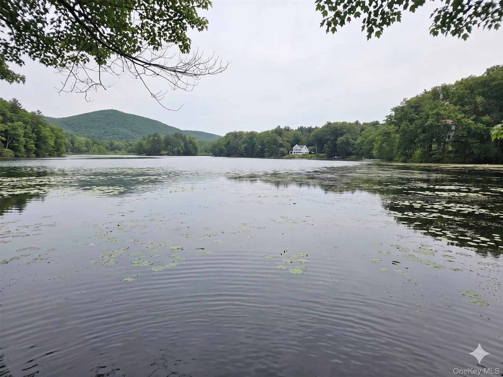 71 Lake Shore Road, Pine Plains, NY, ,Land,For Rent,Lake Shore,0,1006565 71 Lake Shore Road, Pine Plains, NY, ,Land,For Rent,Lake Shore,0,1006565