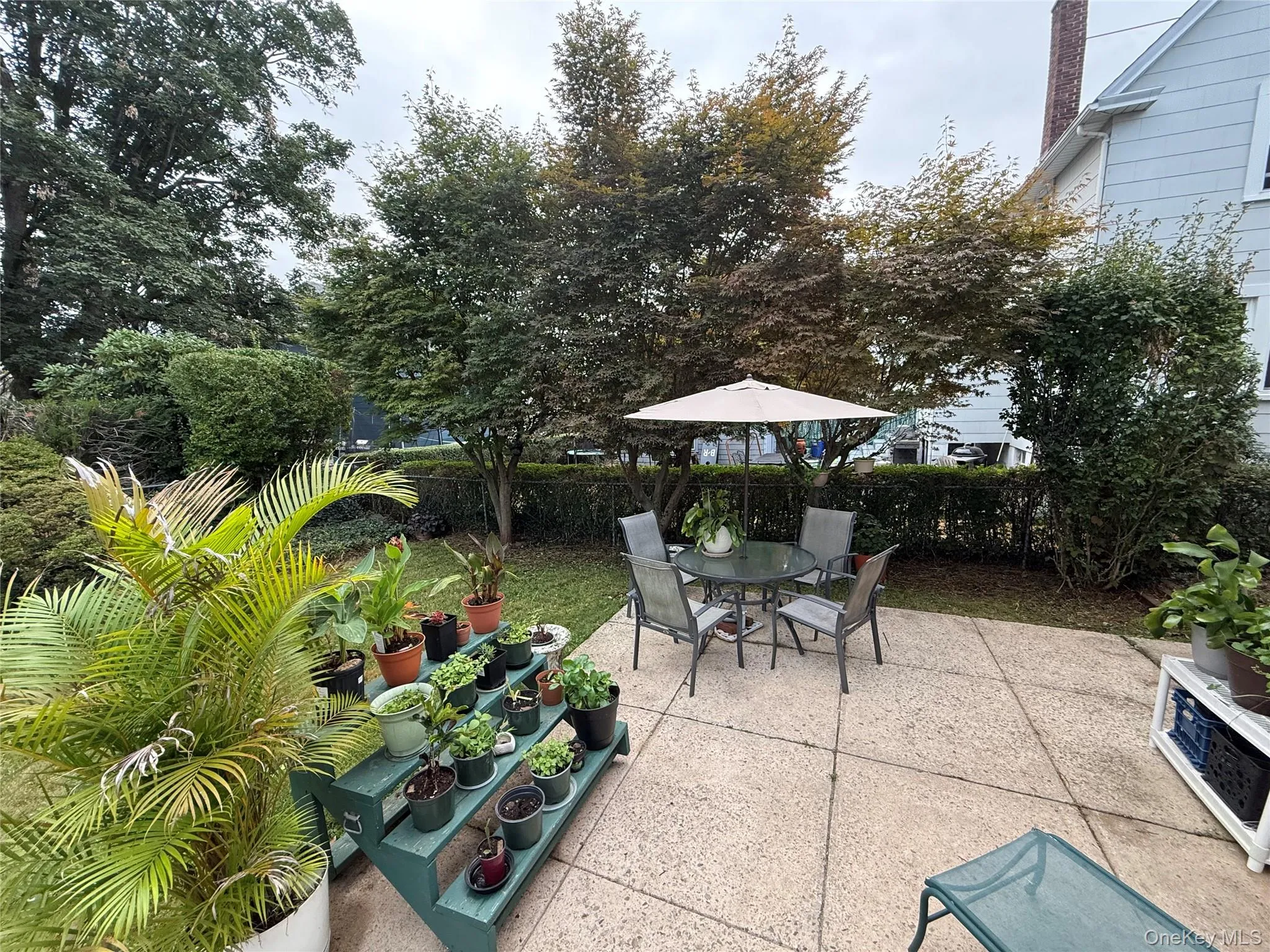 26 Rockland Place, New Rochelle, NY, 3 Bedrooms Bedrooms, 8 Rooms Rooms,1 BathroomBathrooms,Residential,For Rent,Rockland,0,1006592 26 Rockland Place, New Rochelle, NY, 3 Bedrooms Bedrooms, 8 Rooms Rooms,1 BathroomBathrooms,Residential,For Rent,Rockland,0,1006592