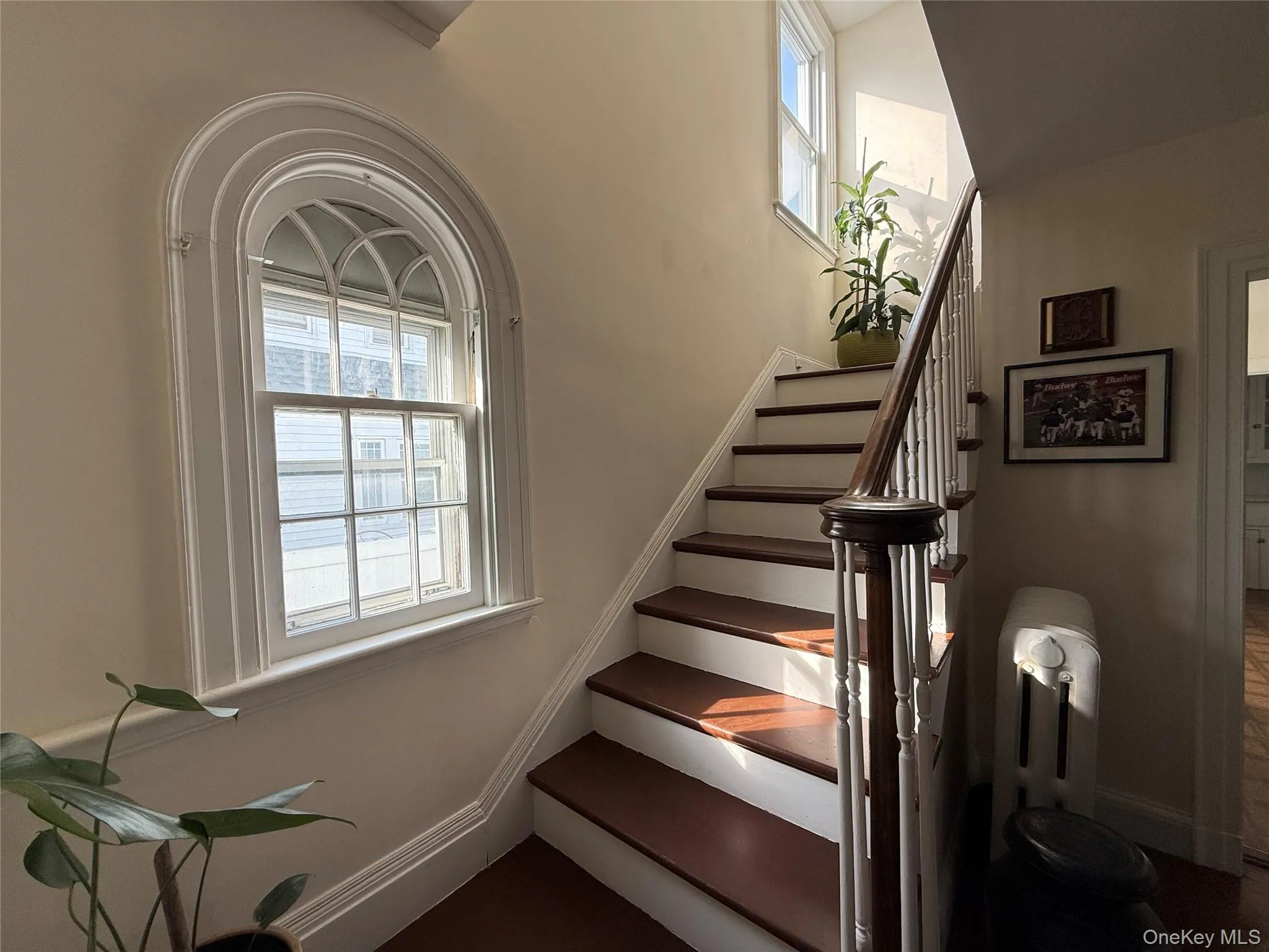 26 Rockland Place, New Rochelle, NY, 3 Bedrooms Bedrooms, 8 Rooms Rooms,1 BathroomBathrooms,Residential,For Rent,Rockland,0,1006592 26 Rockland Place, New Rochelle, NY, 3 Bedrooms Bedrooms, 8 Rooms Rooms,1 BathroomBathrooms,Residential,For Rent,Rockland,0,1006592