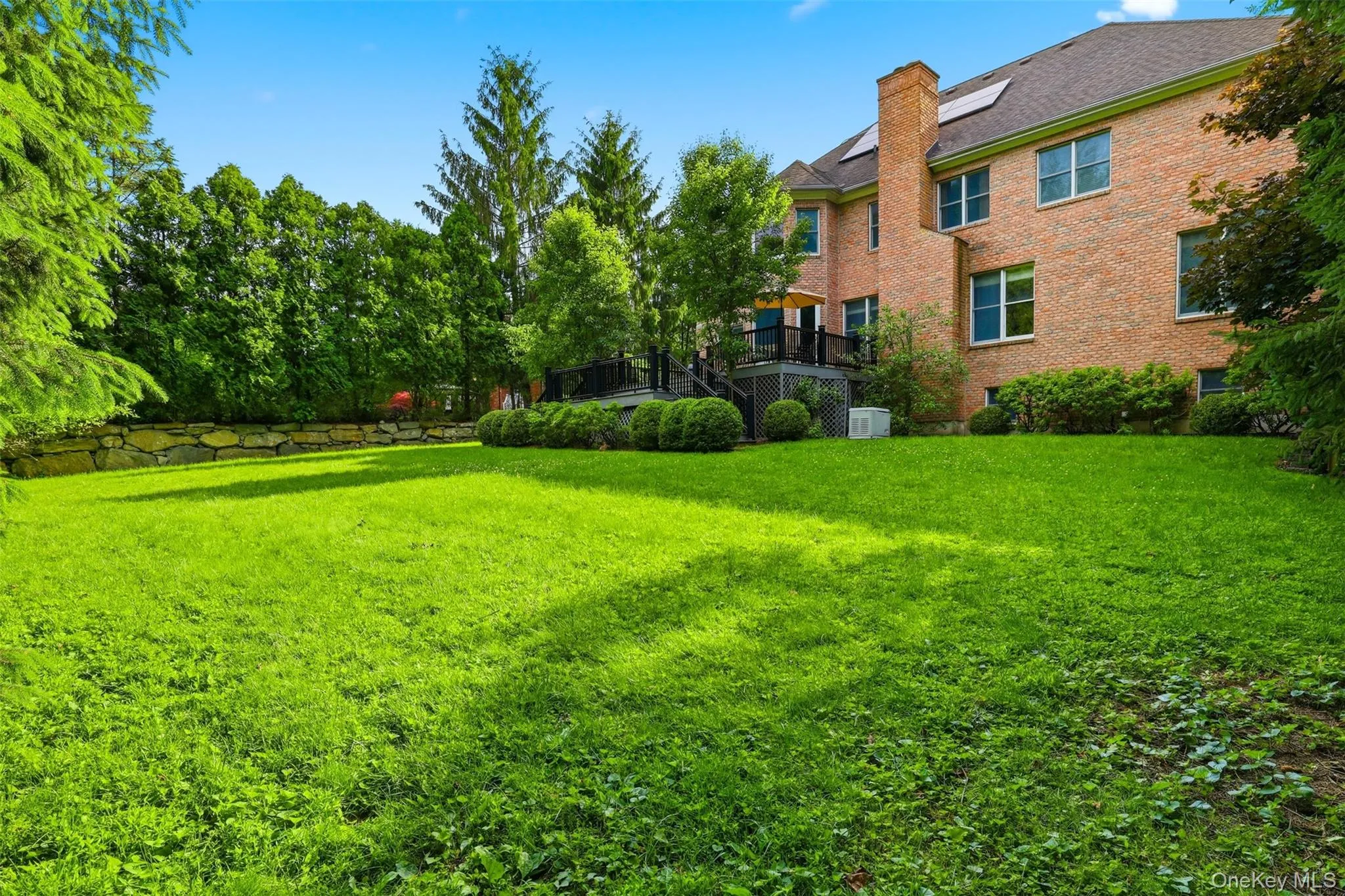 Backyard Backyard