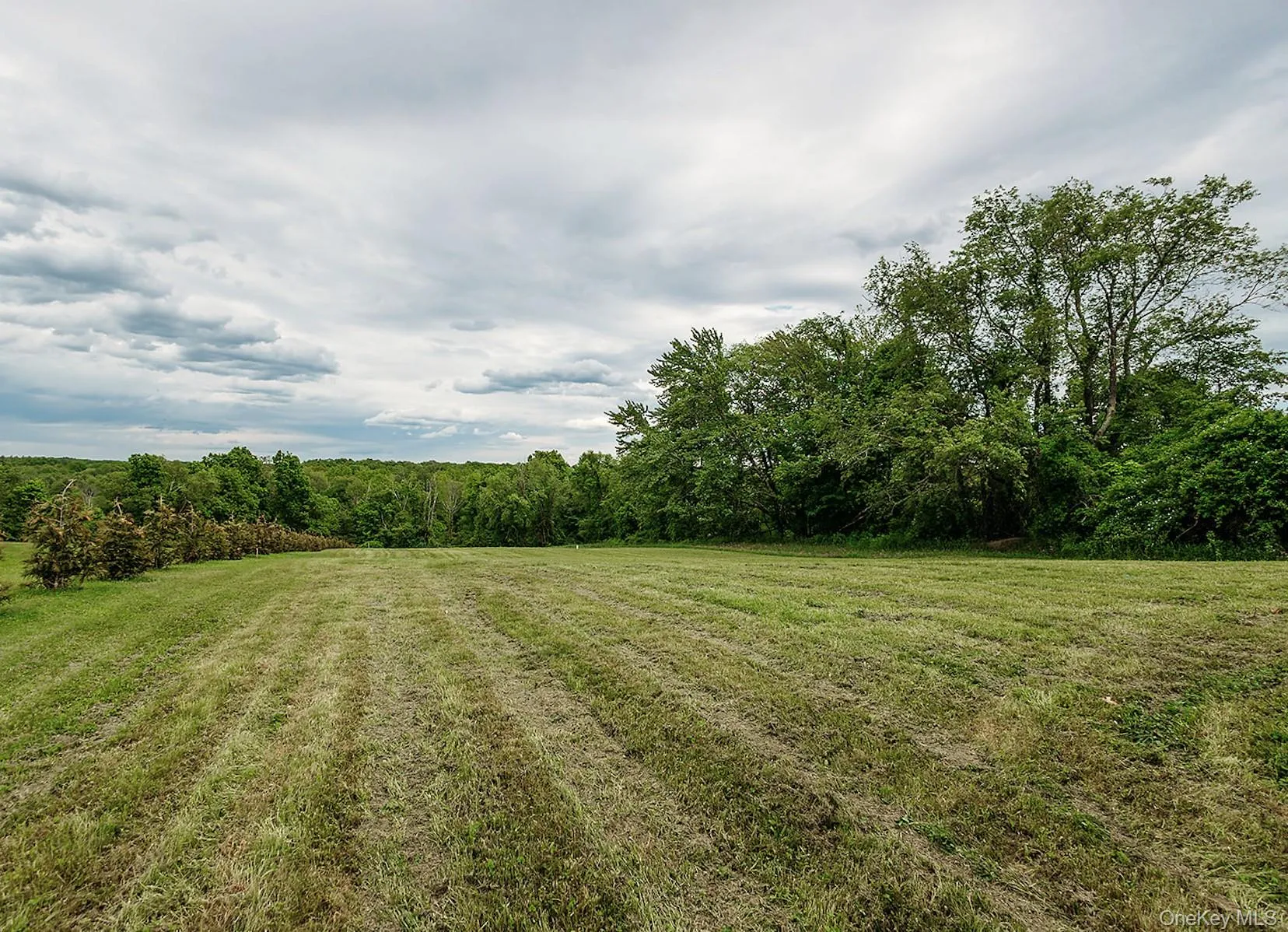 168 Pine Grove Road, Middletown, NY, 3 Bedrooms Bedrooms, 10 Rooms Rooms,2 BathroomsBathrooms,Residential,For Rent,Pine Grove,0,1006639 168 Pine Grove Road, Middletown, NY, 3 Bedrooms Bedrooms, 10 Rooms Rooms,2 BathroomsBathrooms,Residential,For Rent,Pine Grove,0,1006639