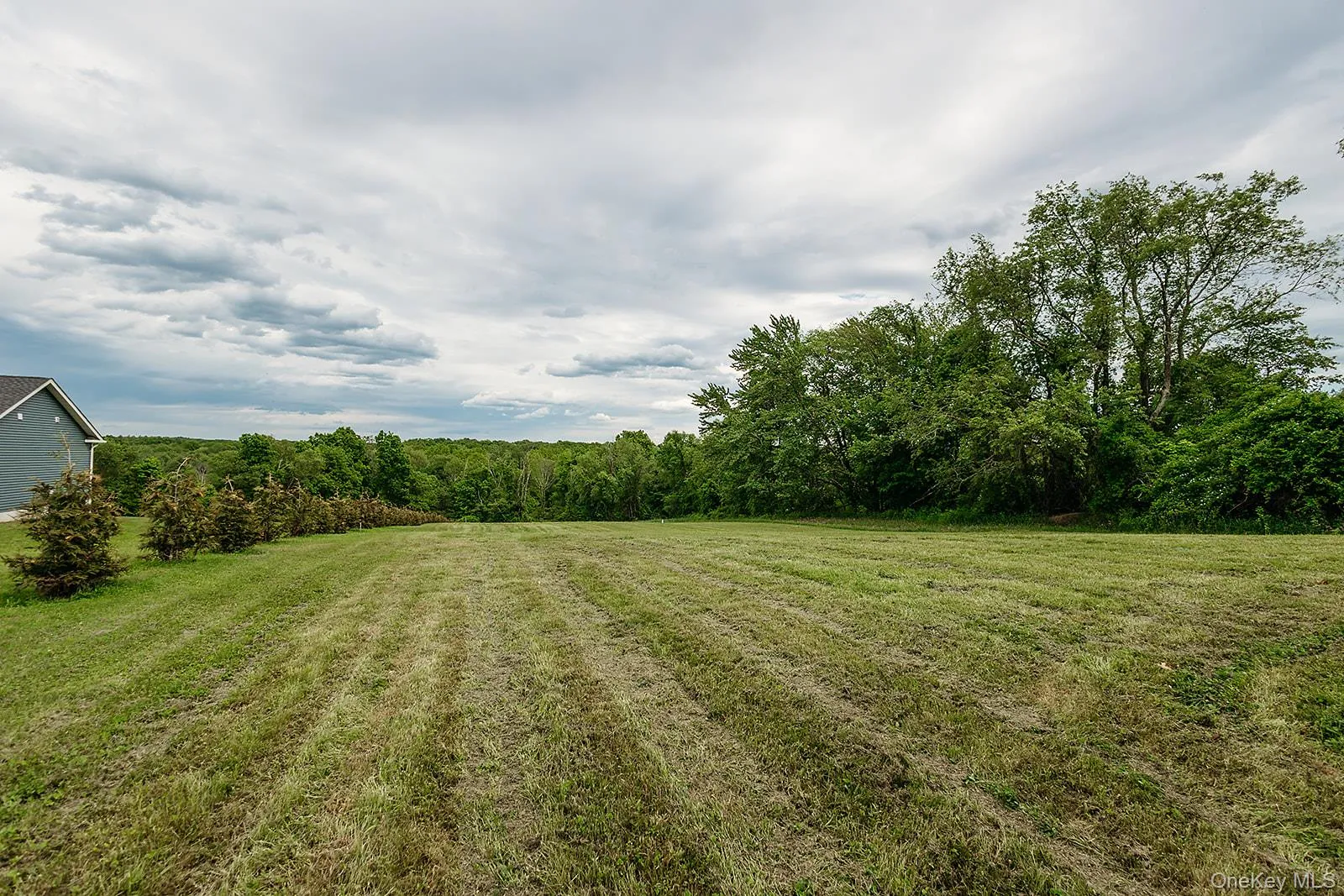 168 Pine Grove Road, Middletown, NY, 3 Bedrooms Bedrooms, 10 Rooms Rooms,2 BathroomsBathrooms,Residential,For Rent,Pine Grove,0,1006639 168 Pine Grove Road, Middletown, NY, 3 Bedrooms Bedrooms, 10 Rooms Rooms,2 BathroomsBathrooms,Residential,For Rent,Pine Grove,0,1006639