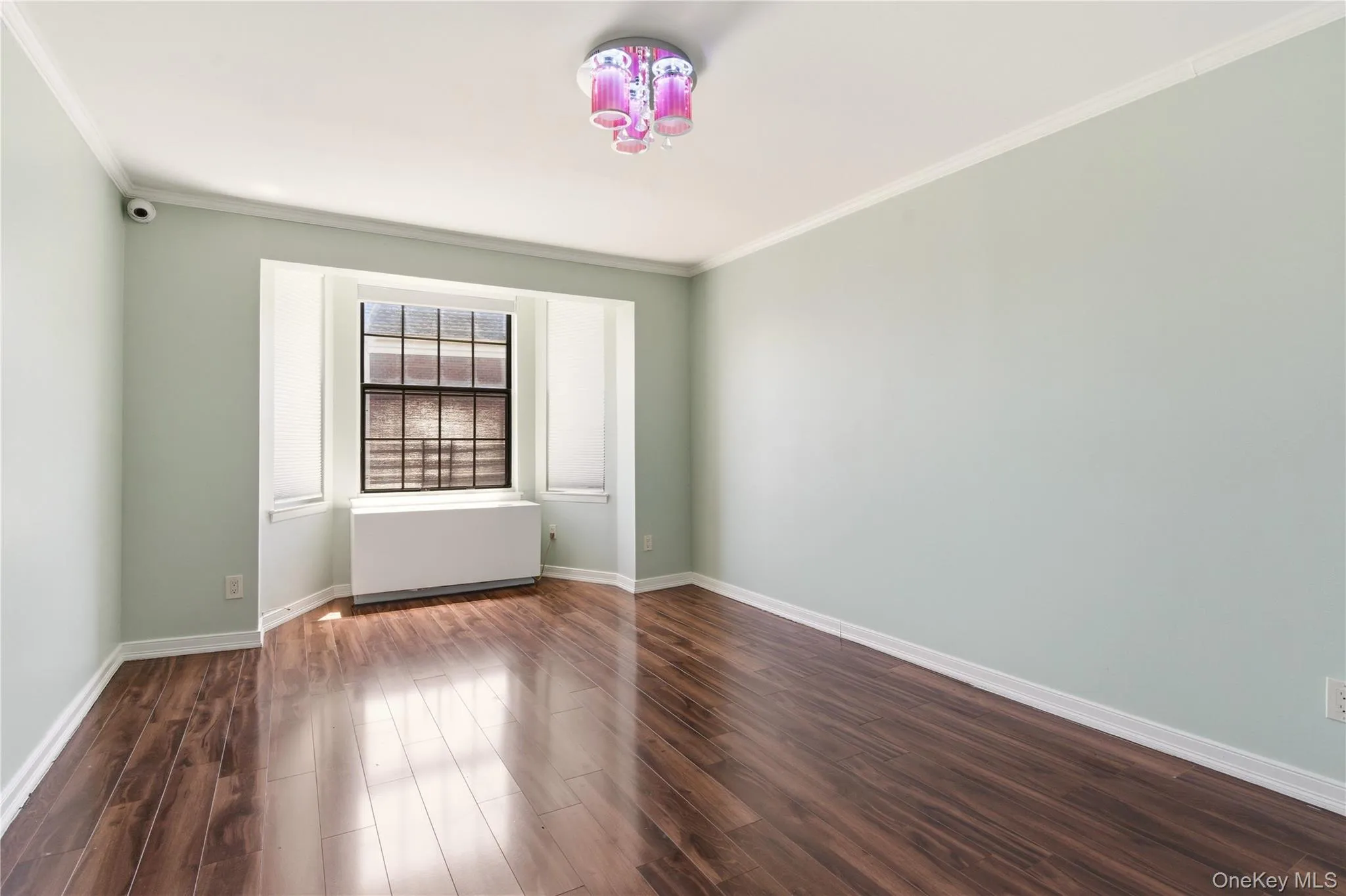 Room featuring wood-finish flooring, light-toned wall paint, and white baseboards Room featuring wood-finish flooring, light-toned wall paint, and white baseboards