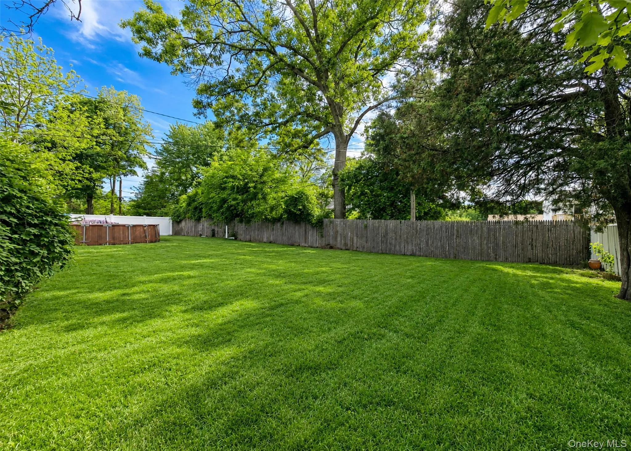 Expansive lawn area featuring a full wooden privacy fence, mature perimeter trees, and dense green foliage Expansive lawn area featuring a full wooden privacy fence, mature perimeter trees, and dense green foliage