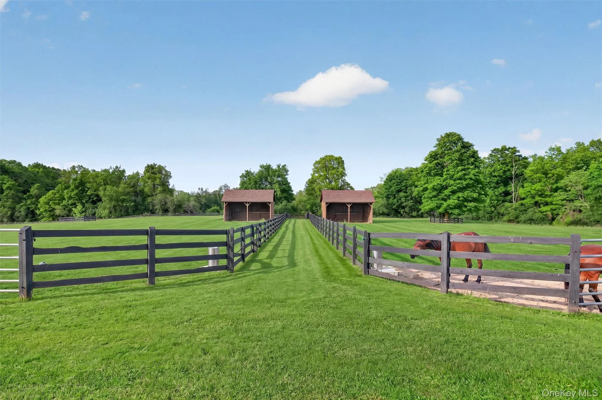 Large grass paddocks with 4 board fencing, deep run-in sheds and automatic waterers provide the best for your horses Large grass paddocks with 4 board fencing, deep run-in sheds and automatic waterers provide the best for your horses