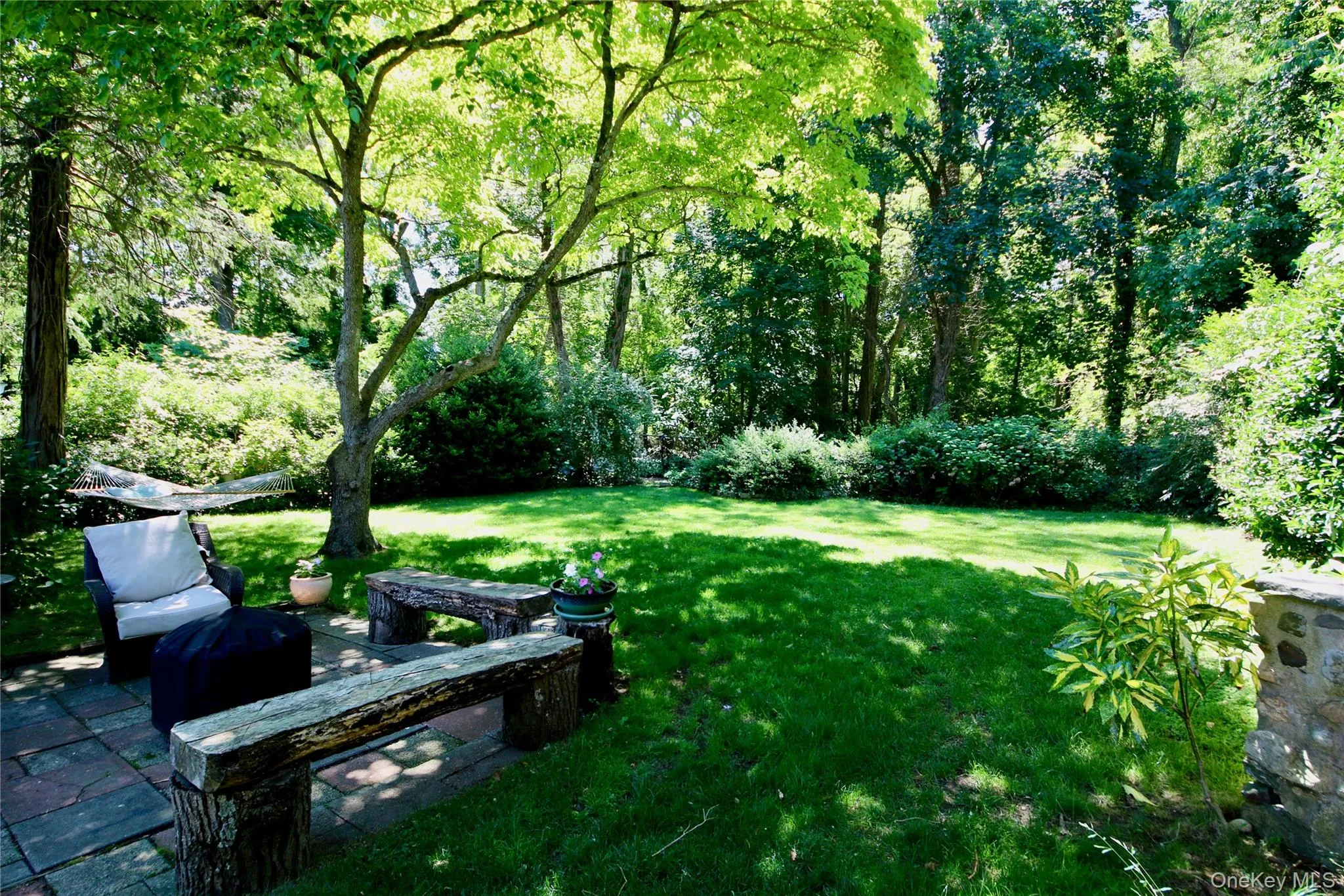 Private yard backing on to a preserve Private yard backing on to a preserve