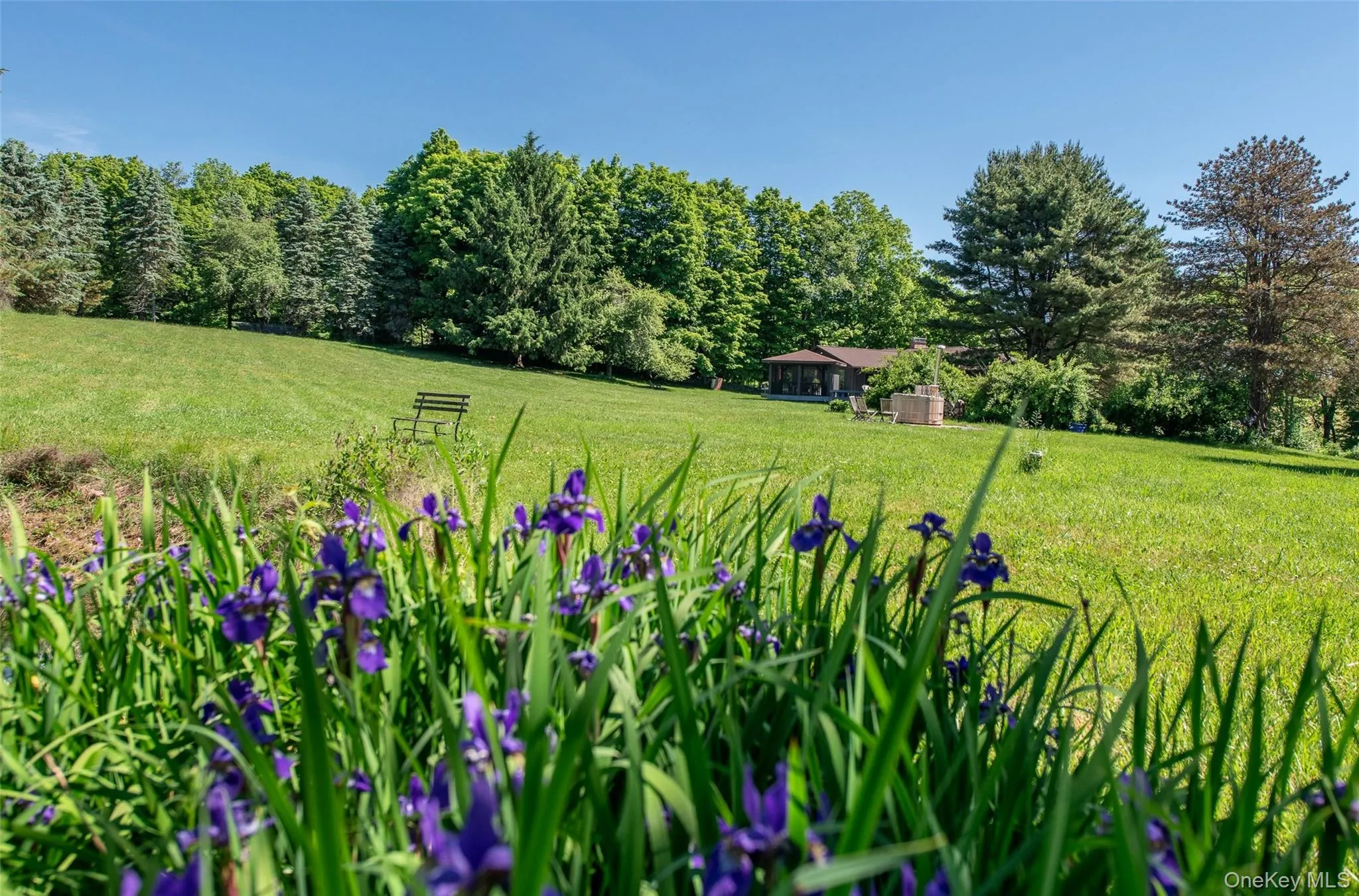 Beautiful perennials frame the view from the seasonal pond to back of home Beautiful perennials frame the view from the seasonal pond to back of home