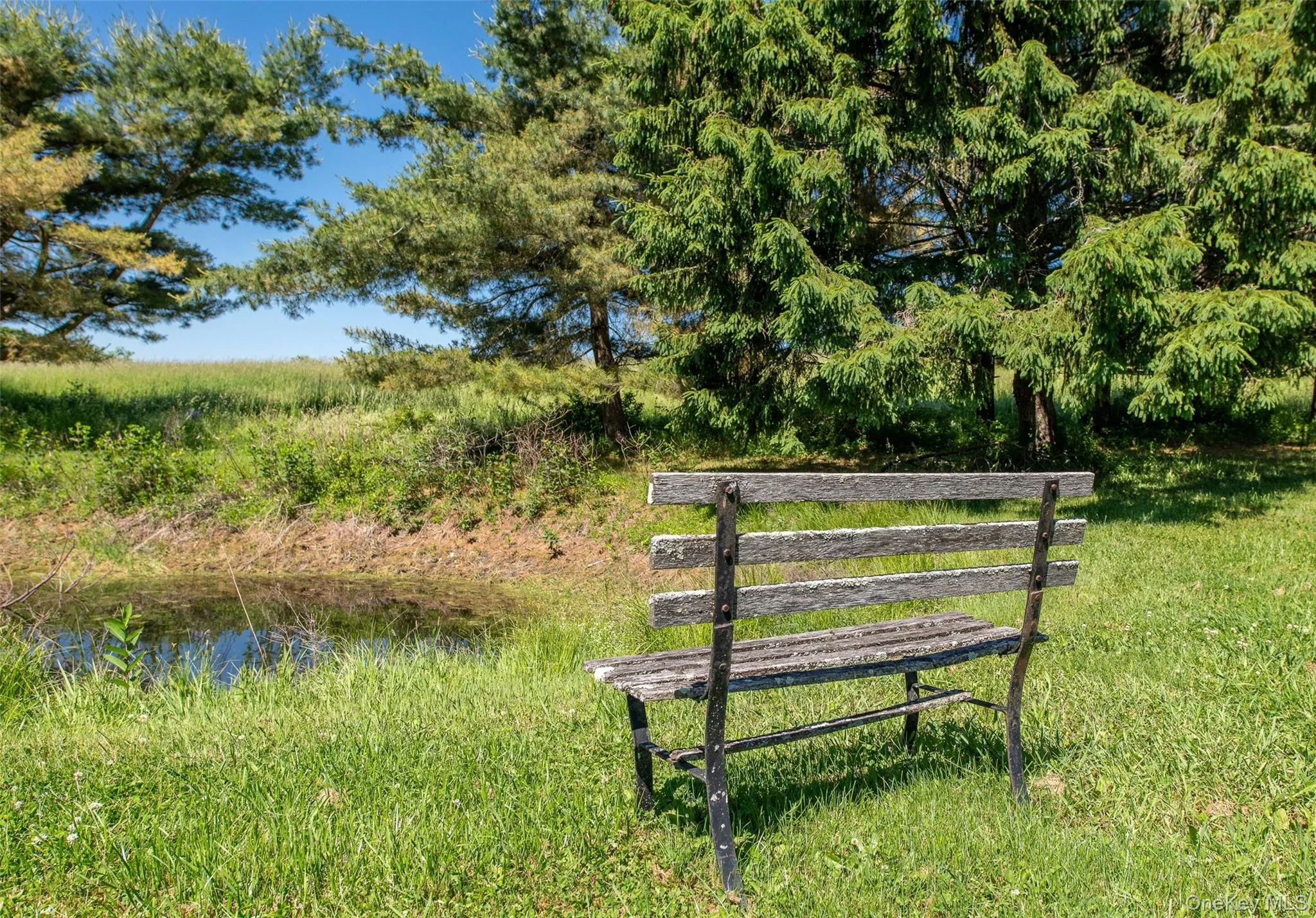 Small seasonal pond Small seasonal pond