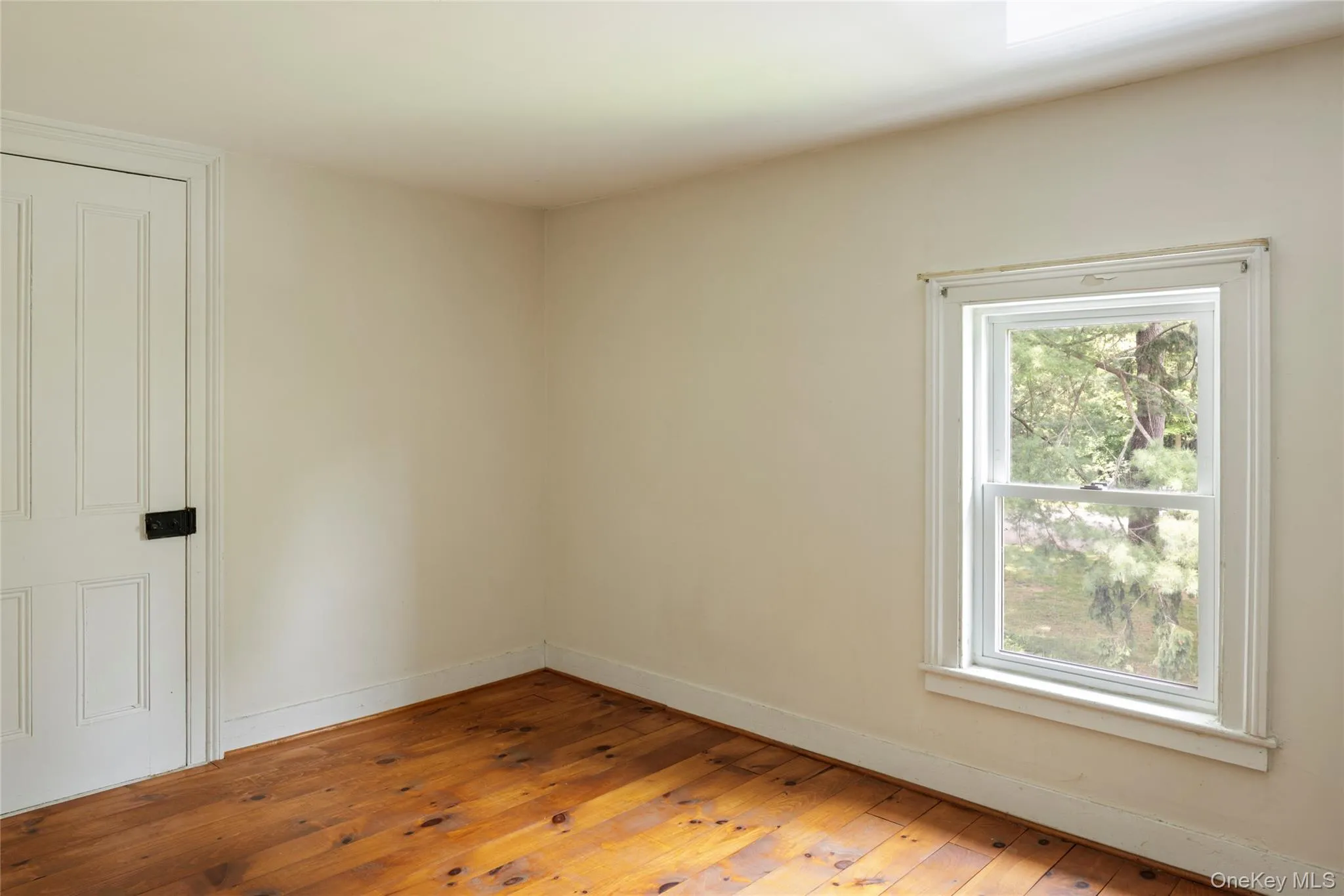 64 Market Street, Red Hook, NY, 3 Bedrooms Bedrooms, 10 Rooms Rooms,2 BathroomsBathrooms,Residential,For Rent,Market,0,1006694 64 Market Street, Red Hook, NY, 3 Bedrooms Bedrooms, 10 Rooms Rooms,2 BathroomsBathrooms,Residential,For Rent,Market,0,1006694