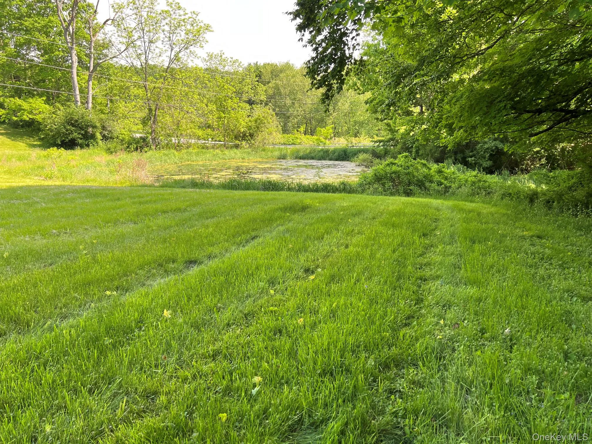 559 Shunpike, Washington, NY, 3 Bedrooms Bedrooms, 6 Rooms Rooms,1 BathroomBathrooms,Residential Lease,For Rent,Shunpike,0,1006710 559 Shunpike, Washington, NY, 3 Bedrooms Bedrooms, 6 Rooms Rooms,1 BathroomBathrooms,Residential Lease,For Rent,Shunpike,0,1006710