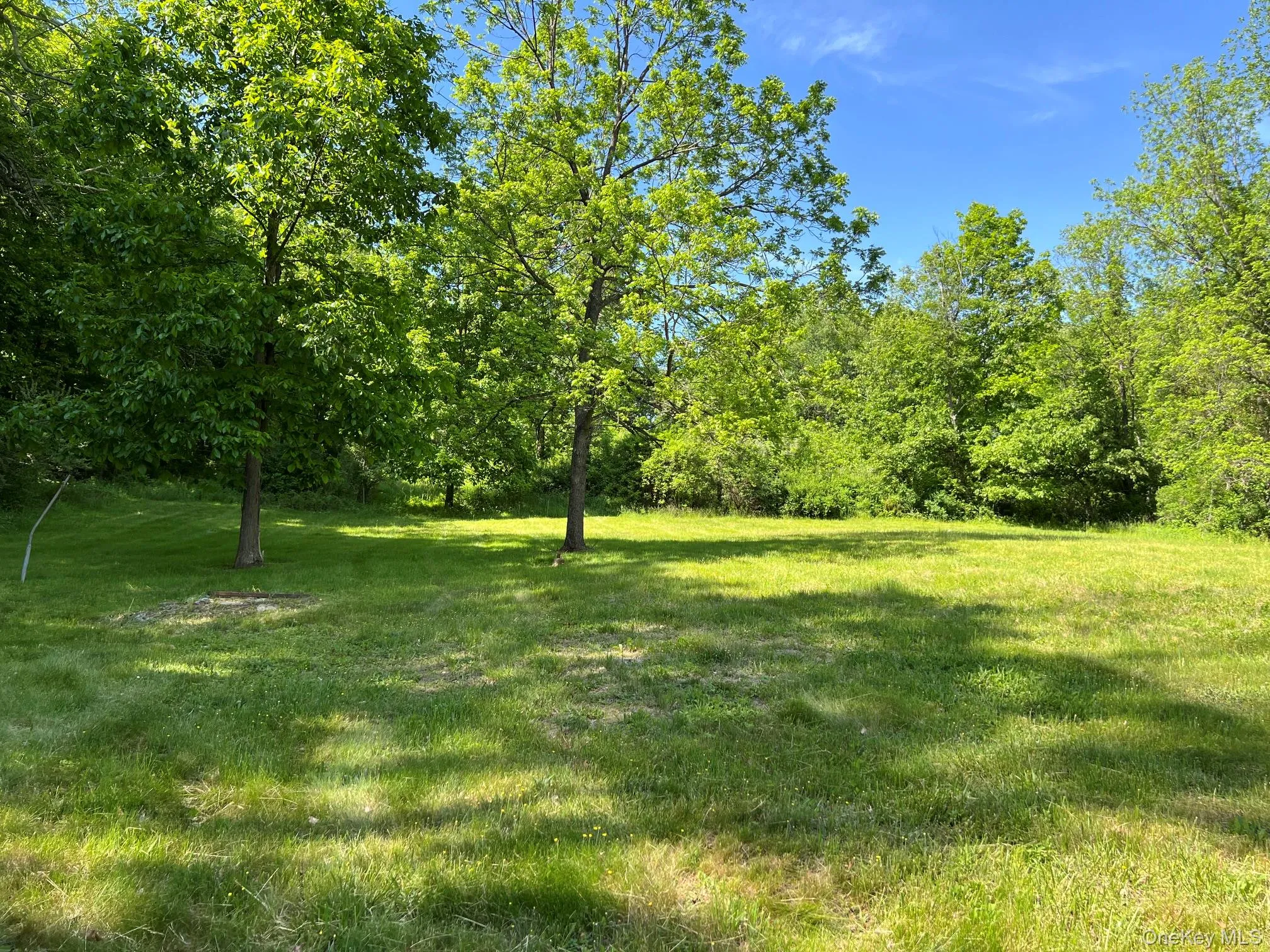 559 Shunpike, Washington, NY, 3 Bedrooms Bedrooms, 6 Rooms Rooms,1 BathroomBathrooms,Residential Lease,For Rent,Shunpike,0,1006710 559 Shunpike, Washington, NY, 3 Bedrooms Bedrooms, 6 Rooms Rooms,1 BathroomBathrooms,Residential Lease,For Rent,Shunpike,0,1006710
