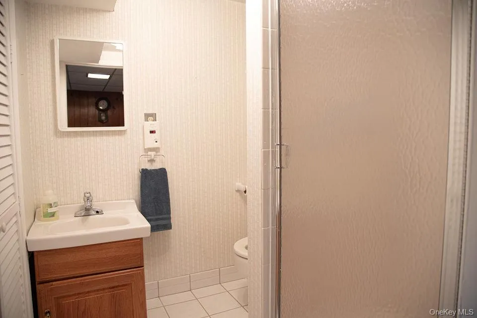 Full Bathroom in Finished Basement Full Bathroom in Finished Basement