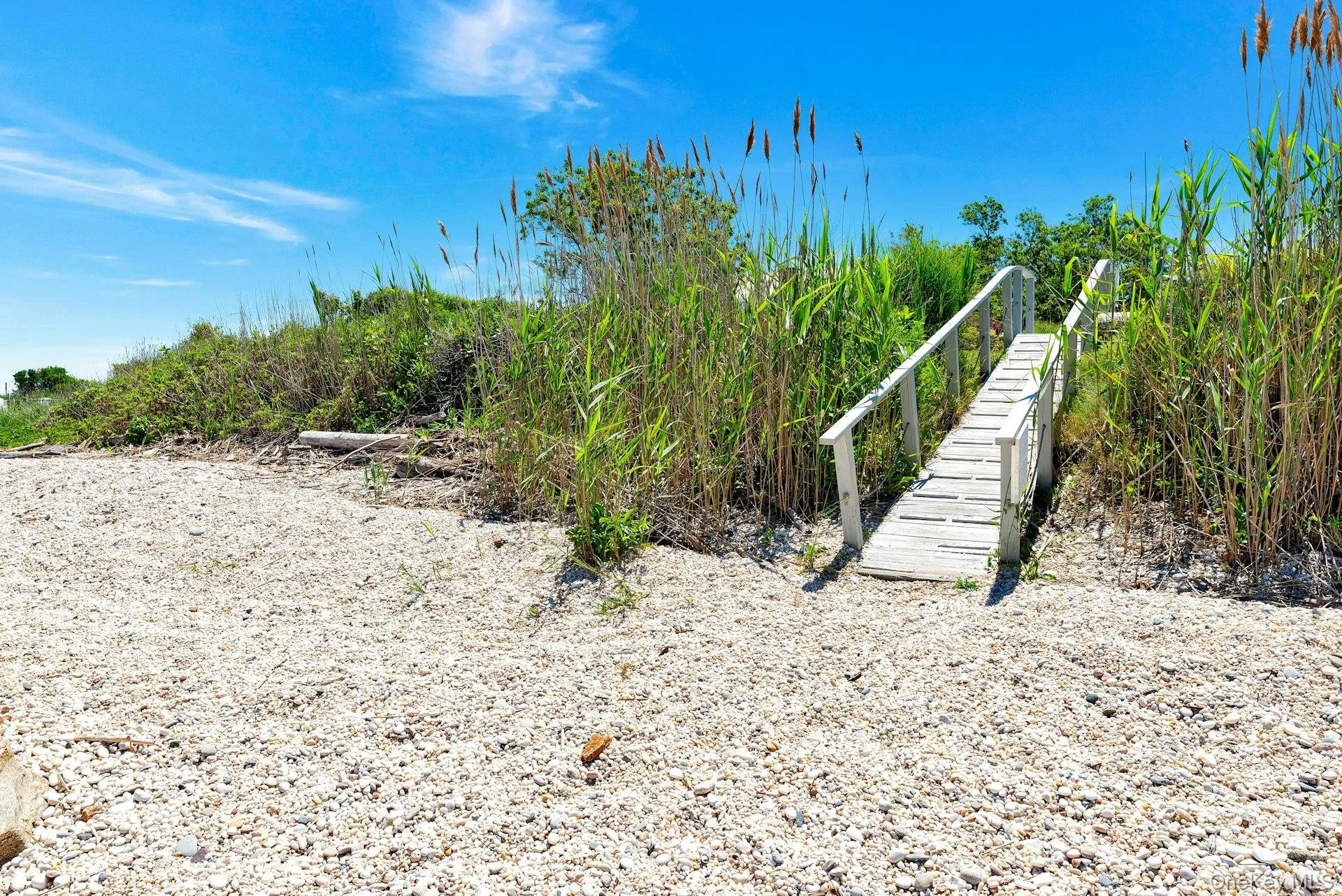 1095 Ryder Farm Lane, Southold, NY, 4 Bedrooms Bedrooms, 9 Rooms Rooms,2 BathroomsBathrooms,Residential Lease,For Rent,Ryder Farm,0,1006757 1095 Ryder Farm Lane, Southold, NY, 4 Bedrooms Bedrooms, 9 Rooms Rooms,2 BathroomsBathrooms,Residential Lease,For Rent,Ryder Farm,0,1006757