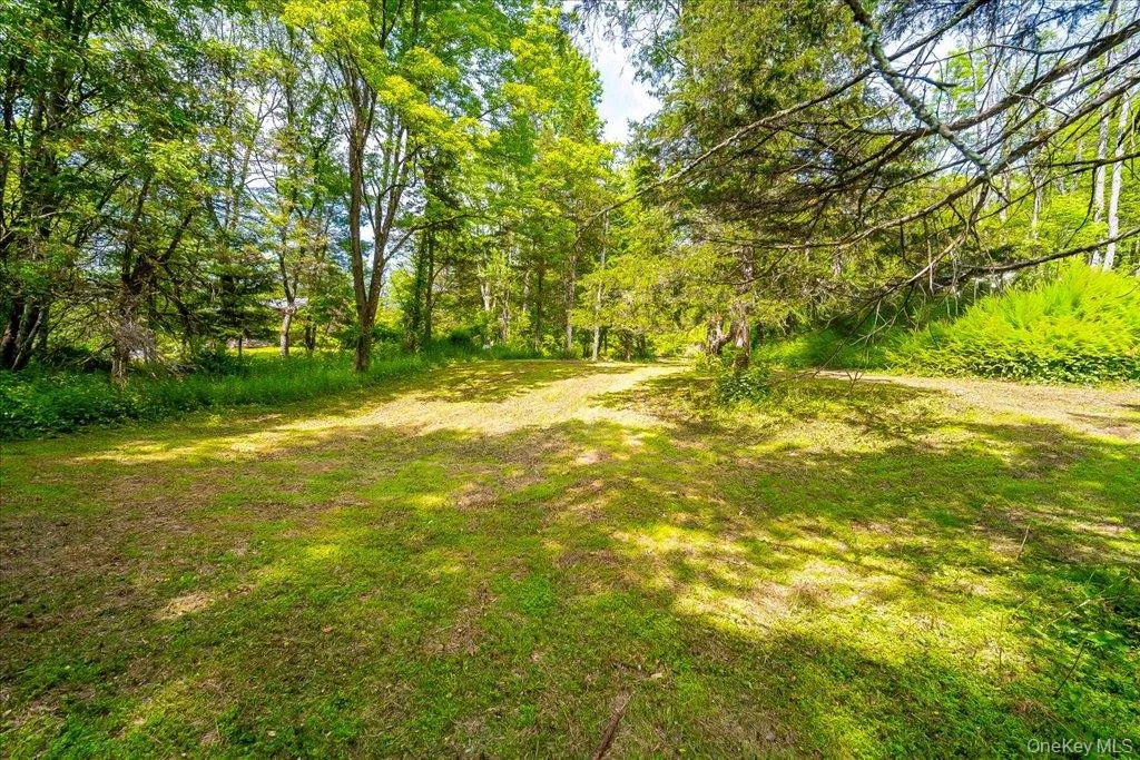 Jackson Corners Road, Milan, NY, ,Land,For Rent,Jackson Corners,0,1006768 Jackson Corners Road, Milan, NY, ,Land,For Rent,Jackson Corners,0,1006768