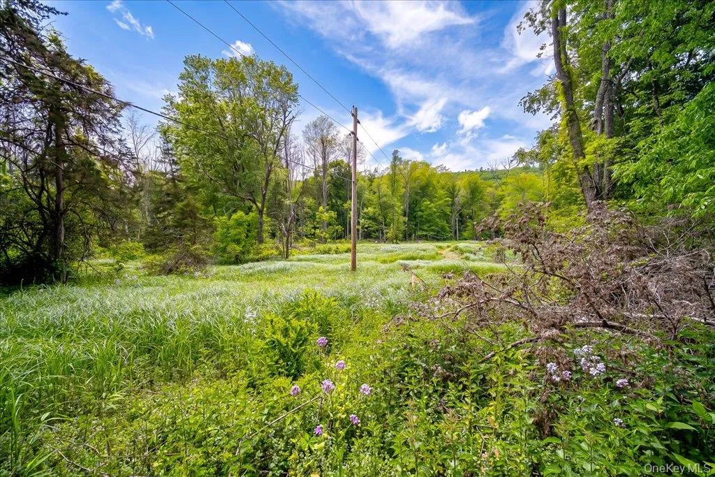Jackson Corners Road, Milan, NY, ,Land,For Rent,Jackson Corners,0,1006768 Jackson Corners Road, Milan, NY, ,Land,For Rent,Jackson Corners,0,1006768
