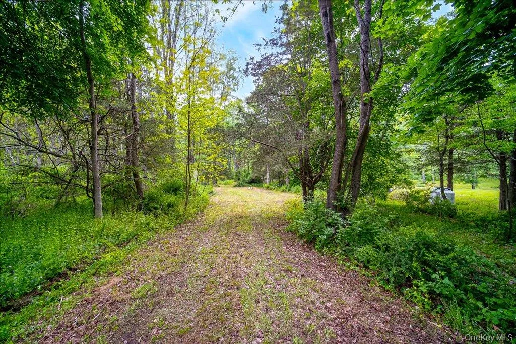 Jackson Corners Road, Milan, NY, ,Land,For Rent,Jackson Corners,0,1006768 Jackson Corners Road, Milan, NY, ,Land,For Rent,Jackson Corners,0,1006768