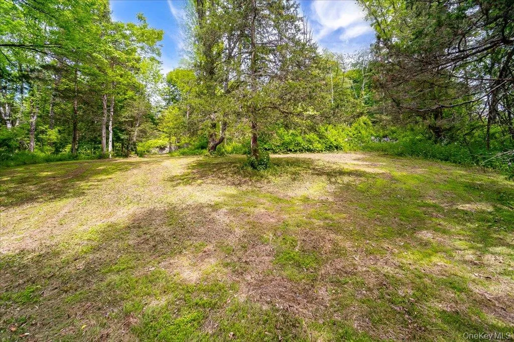 Jackson Corners Road, Milan, NY, ,Land,For Rent,Jackson Corners,0,1006768 Jackson Corners Road, Milan, NY, ,Land,For Rent,Jackson Corners,0,1006768