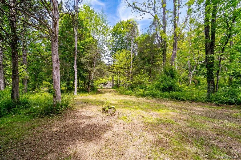 Jackson Corners Road, Milan, NY, ,Land,For Rent,Jackson Corners,0,1006768 Jackson Corners Road, Milan, NY, ,Land,For Rent,Jackson Corners,0,1006768