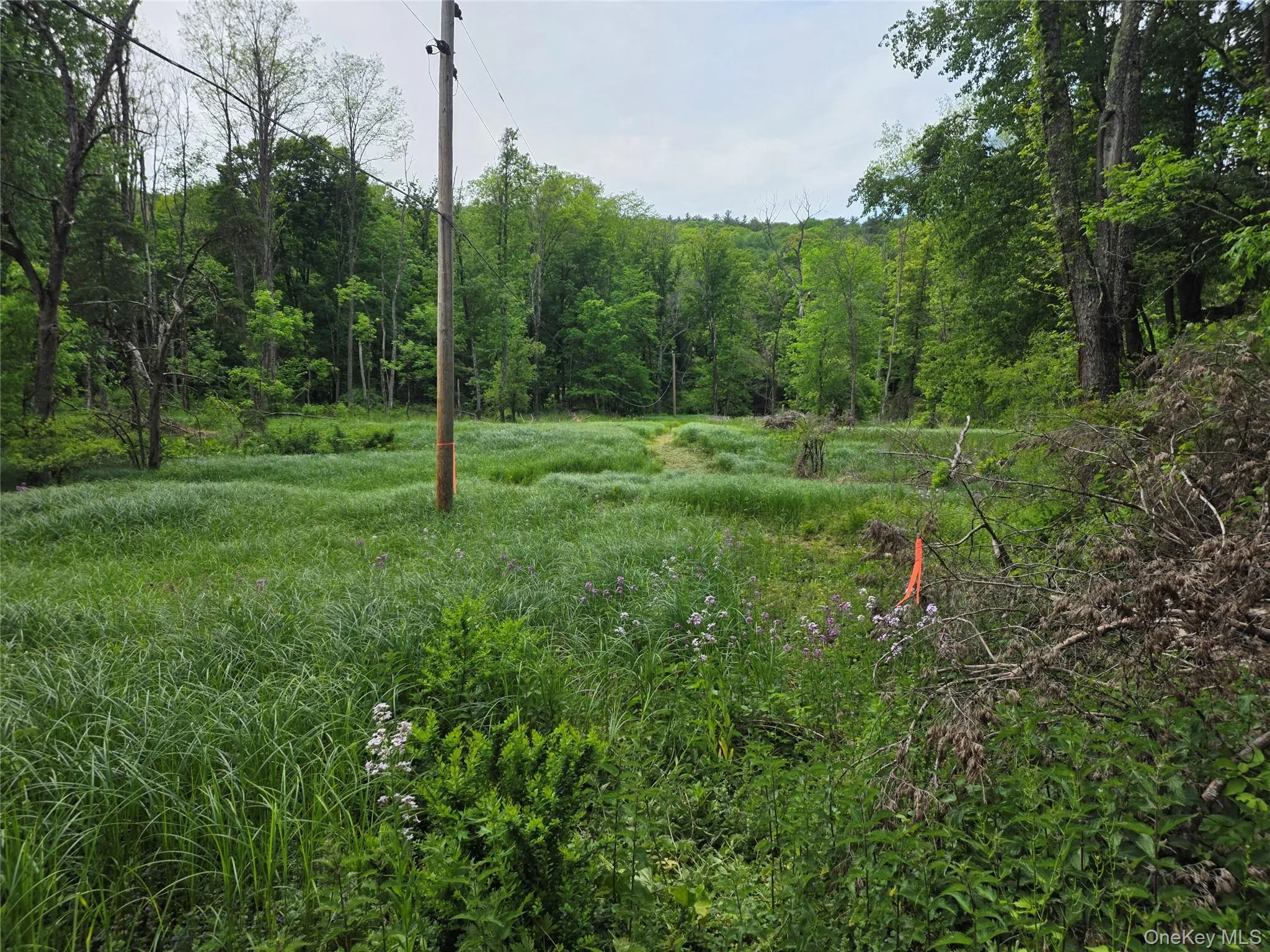 Jackson Corners Road, Milan, NY, ,Land,For Rent,Jackson Corners,0,1006768 Jackson Corners Road, Milan, NY, ,Land,For Rent,Jackson Corners,0,1006768