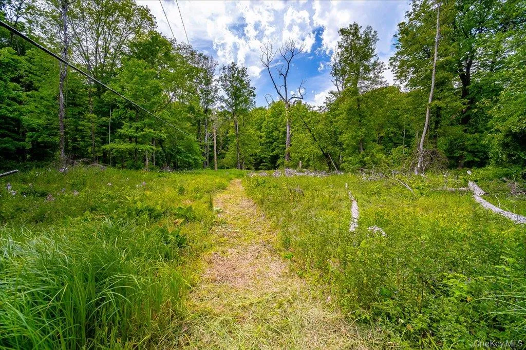 Jackson Corners Road, Milan, NY, ,Land,For Rent,Jackson Corners,0,1006768 Jackson Corners Road, Milan, NY, ,Land,For Rent,Jackson Corners,0,1006768