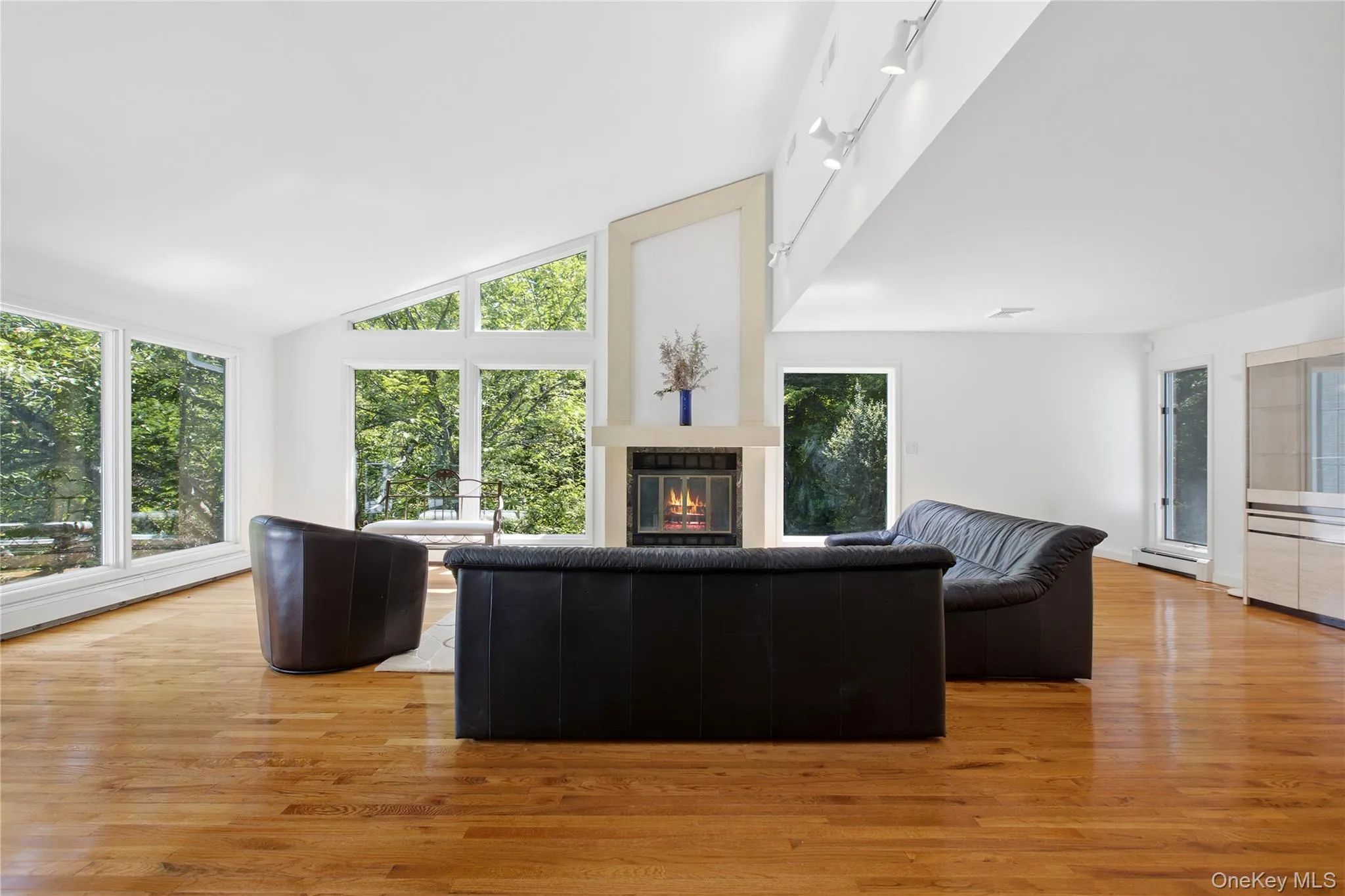 Spacious living room with cathedral ceiling and fire place Spacious living room with cathedral ceiling and fire place