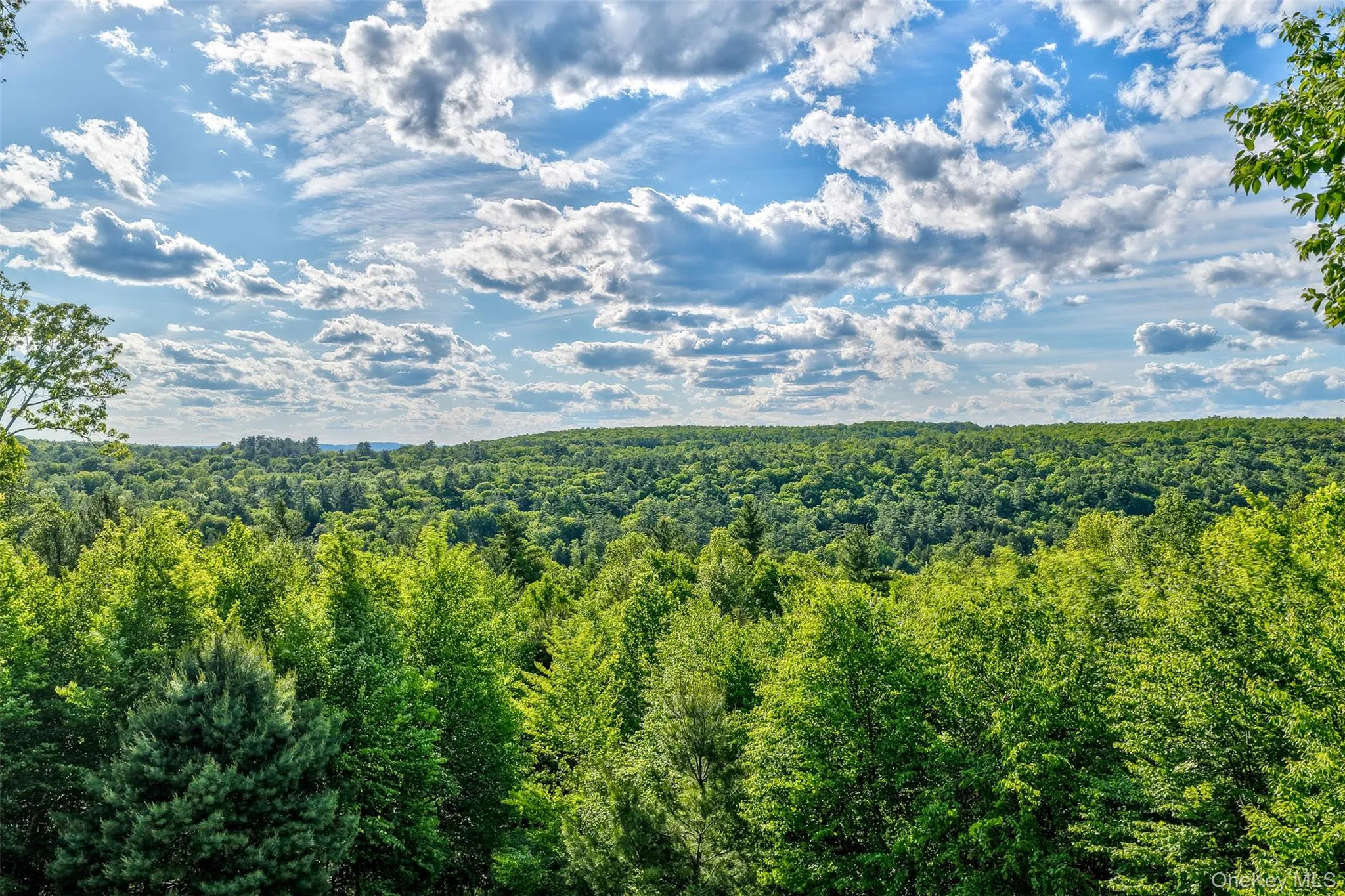119 Lake Ridge Road, Tusten, NY, 2 Bedrooms Bedrooms, 8 Rooms Rooms,2 BathroomsBathrooms,Residential,For Rent,Lake Ridge,0,1006817 119 Lake Ridge Road, Tusten, NY, 2 Bedrooms Bedrooms, 8 Rooms Rooms,2 BathroomsBathrooms,Residential,For Rent,Lake Ridge,0,1006817