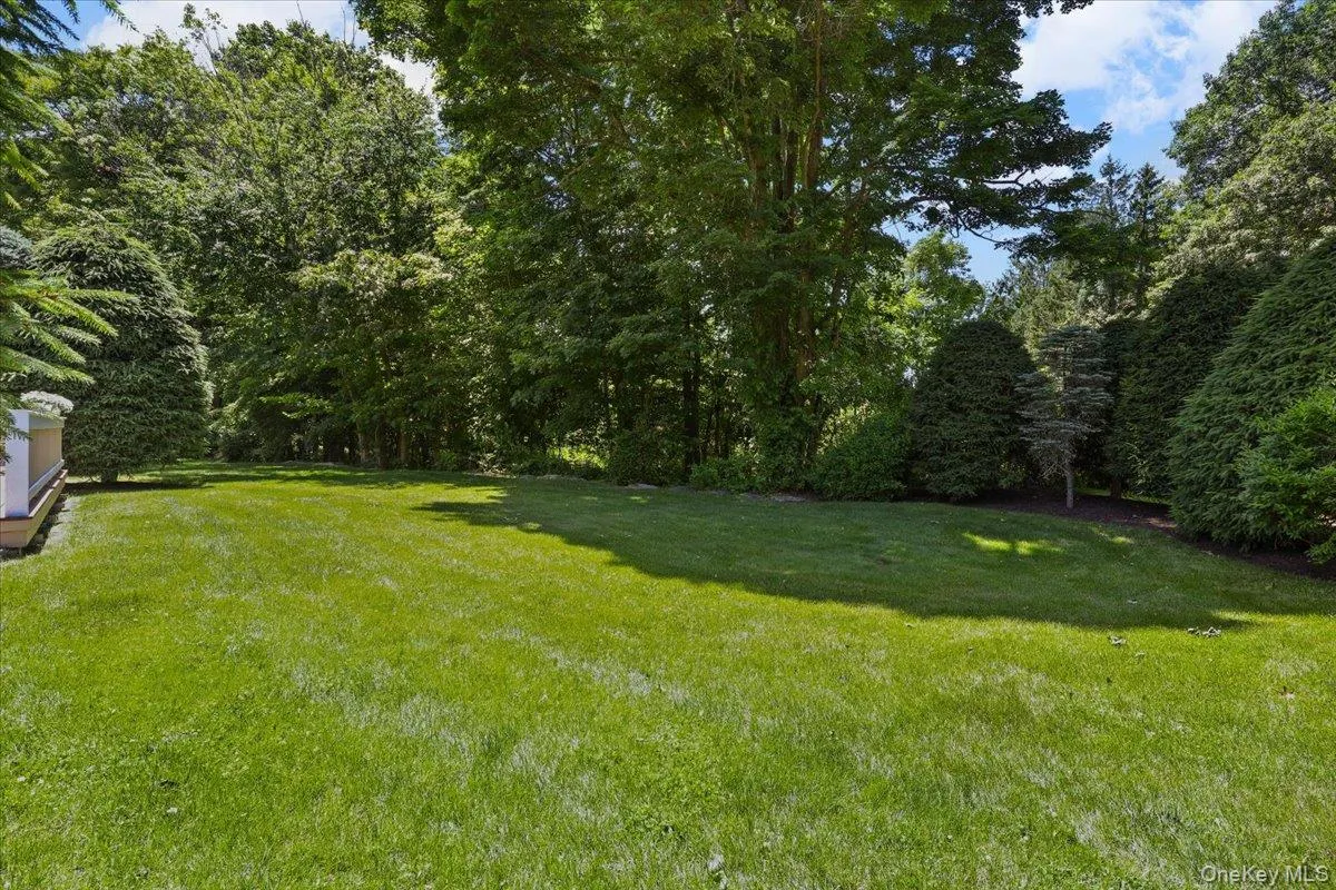 Yard Yard