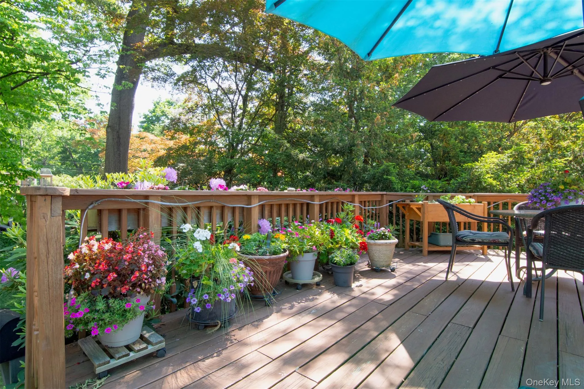 outdoor living at its best outdoor living at its best