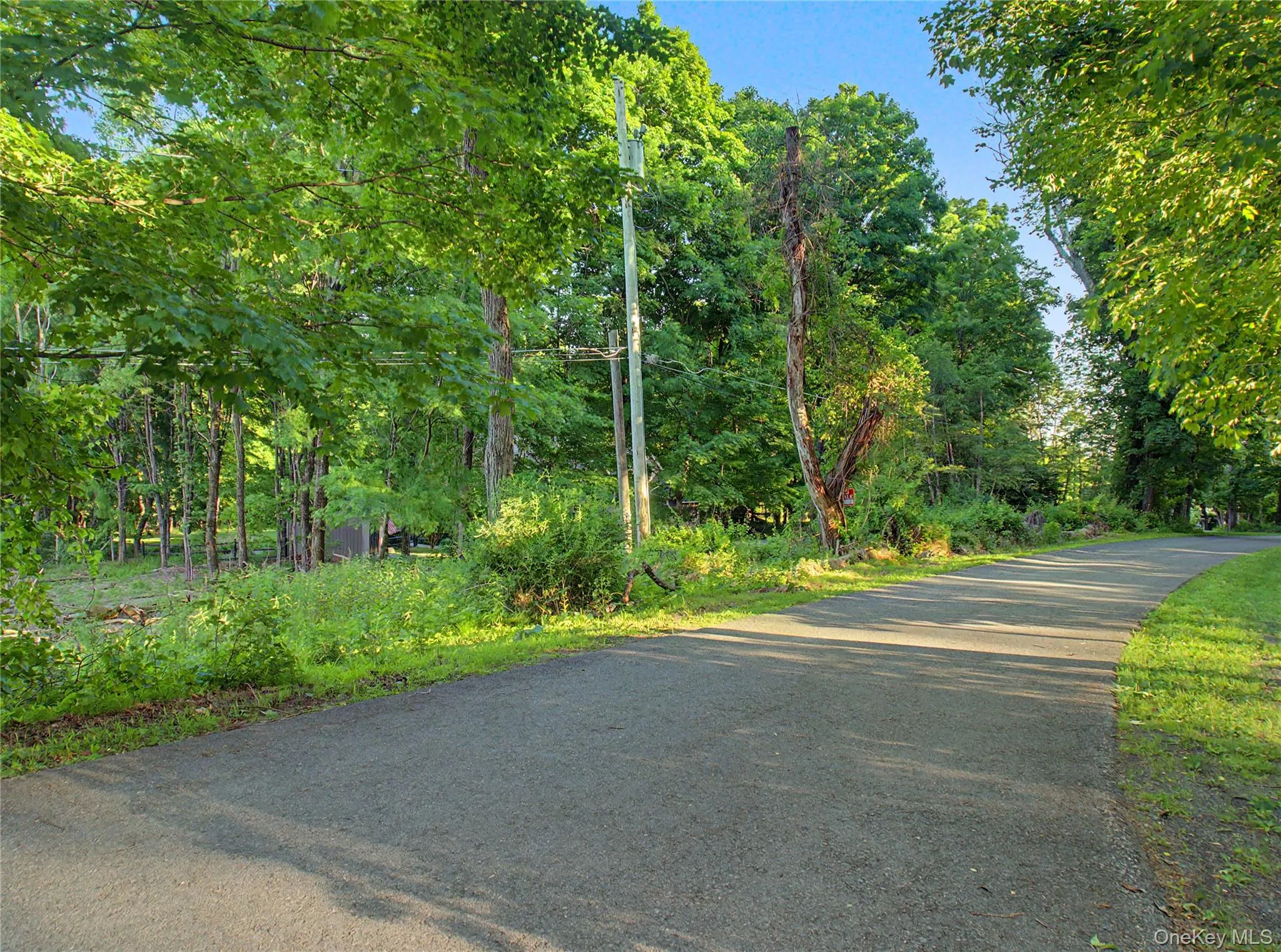 7 Cottage Road, Beekman, NY, ,Land,For Rent,Cottage,0,1006837 7 Cottage Road, Beekman, NY, ,Land,For Rent,Cottage,0,1006837