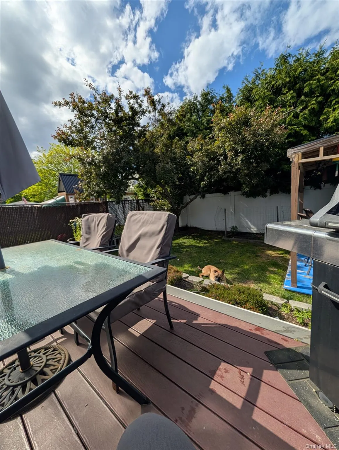 35 Jackson Avenue, Babylon, NY, 3 Bedrooms Bedrooms, 7 Rooms Rooms,2 BathroomsBathrooms,Residential,For Rent,Jackson,0,1006864 35 Jackson Avenue, Babylon, NY, 3 Bedrooms Bedrooms, 7 Rooms Rooms,2 BathroomsBathrooms,Residential,For Rent,Jackson,0,1006864