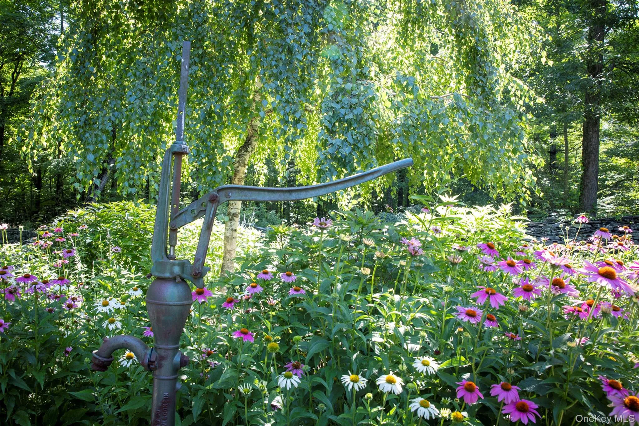 19 Blues Quarry, Woodstock, NY, 4 Bedrooms Bedrooms, 8 Rooms Rooms,3 BathroomsBathrooms,Residential,For Rent,Blues Quarry,0,1006874 19 Blues Quarry, Woodstock, NY, 4 Bedrooms Bedrooms, 8 Rooms Rooms,3 BathroomsBathrooms,Residential,For Rent,Blues Quarry,0,1006874